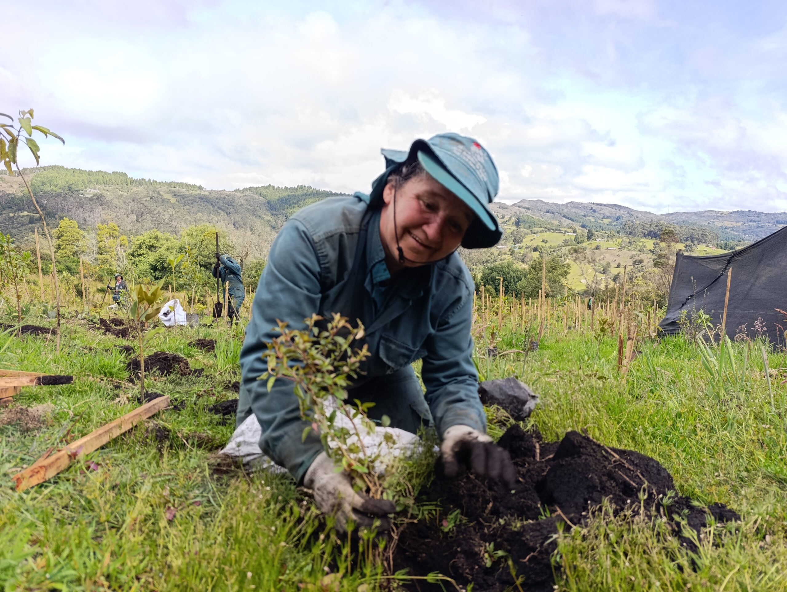 Historias del verde urbano : Homenaje a la vida silvestre con nuevos árboles y jardines