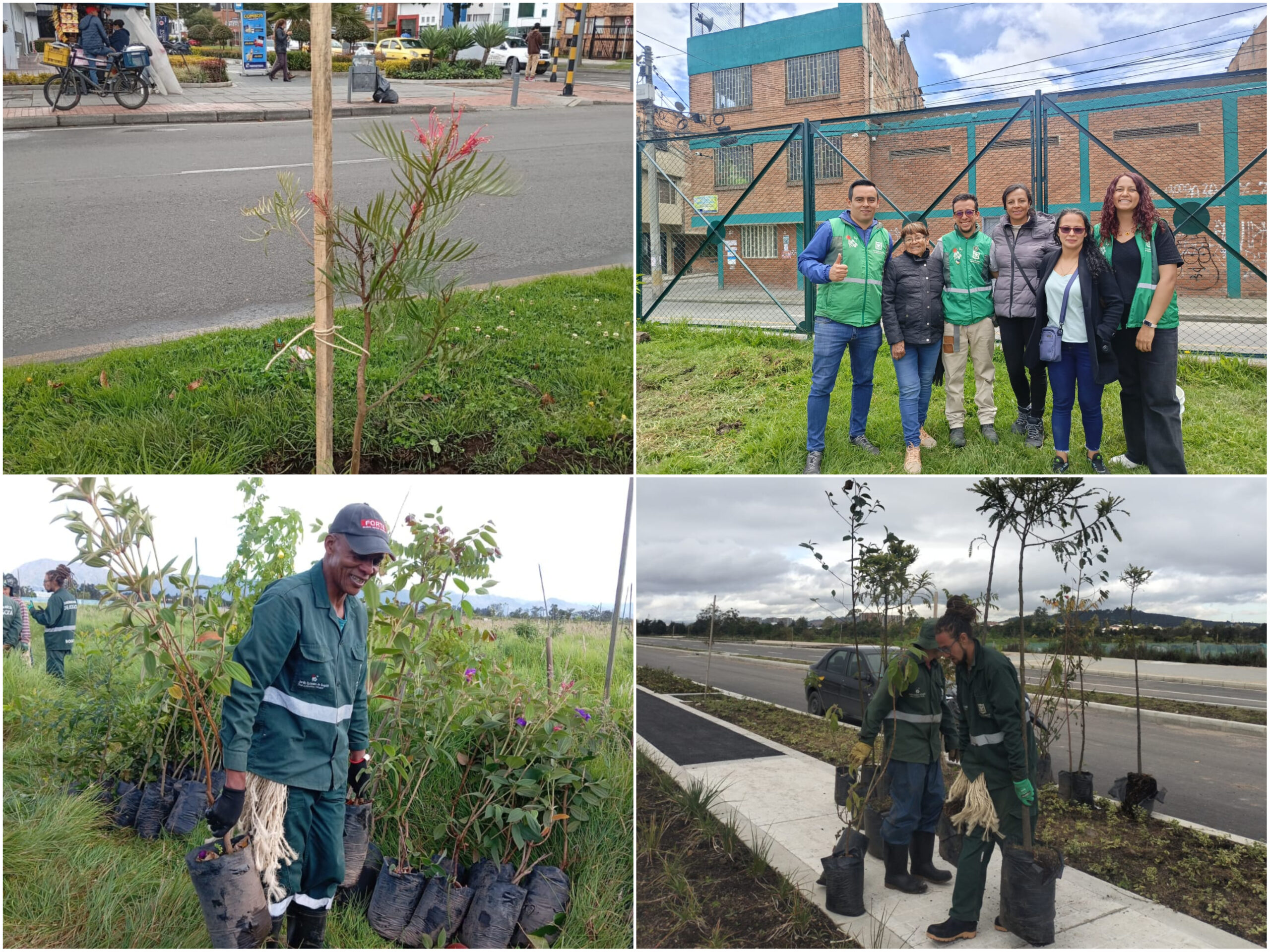 Historias del verde urbano: El verde vuelve a brillar en varias zonas de seis localidades de Bogotá