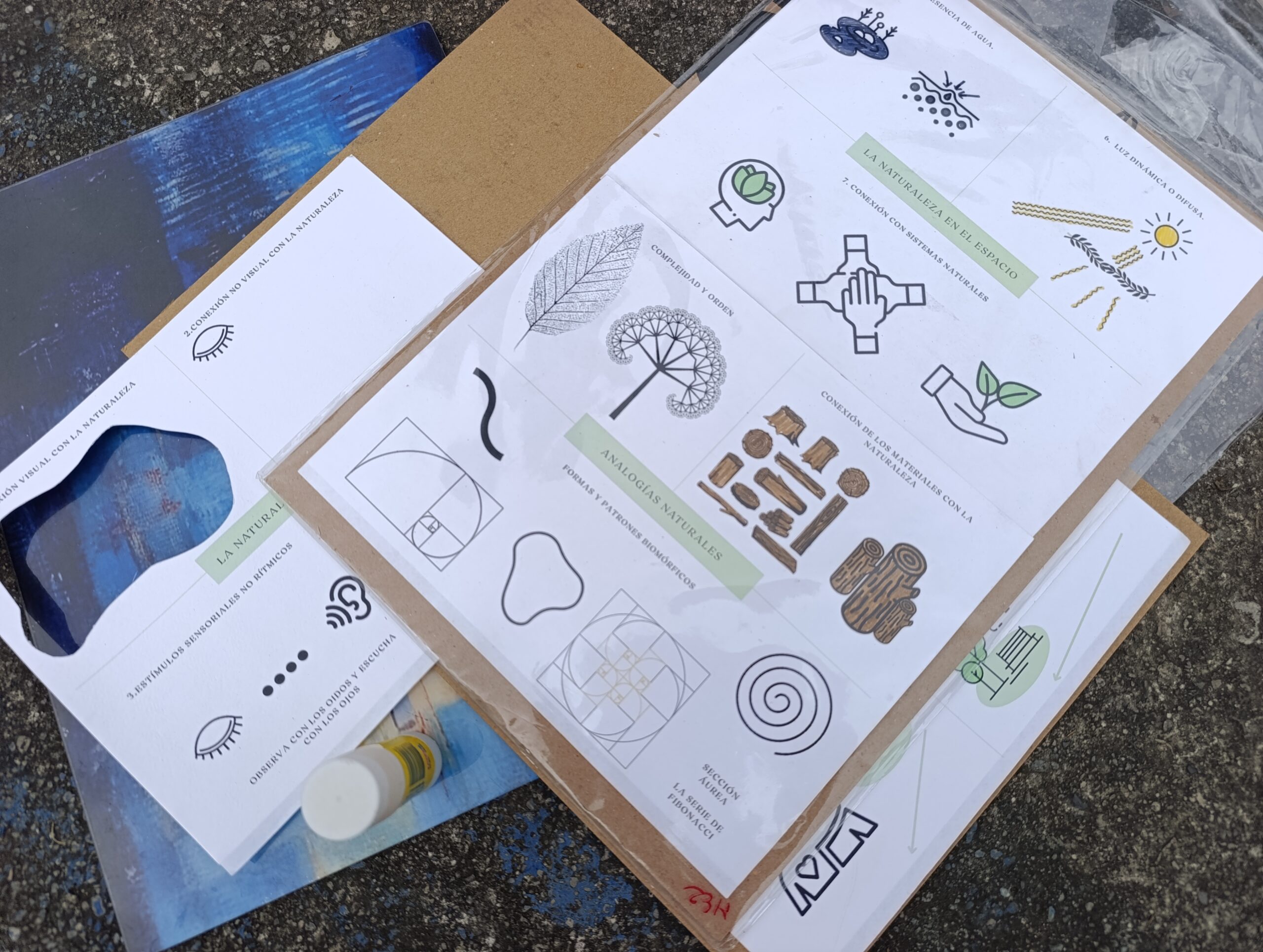 Historias del verde urbano: Bosques urbanos biofílicos: el nuevo proyecto de investigación aplicada del Jardín Botánico de Bogotá