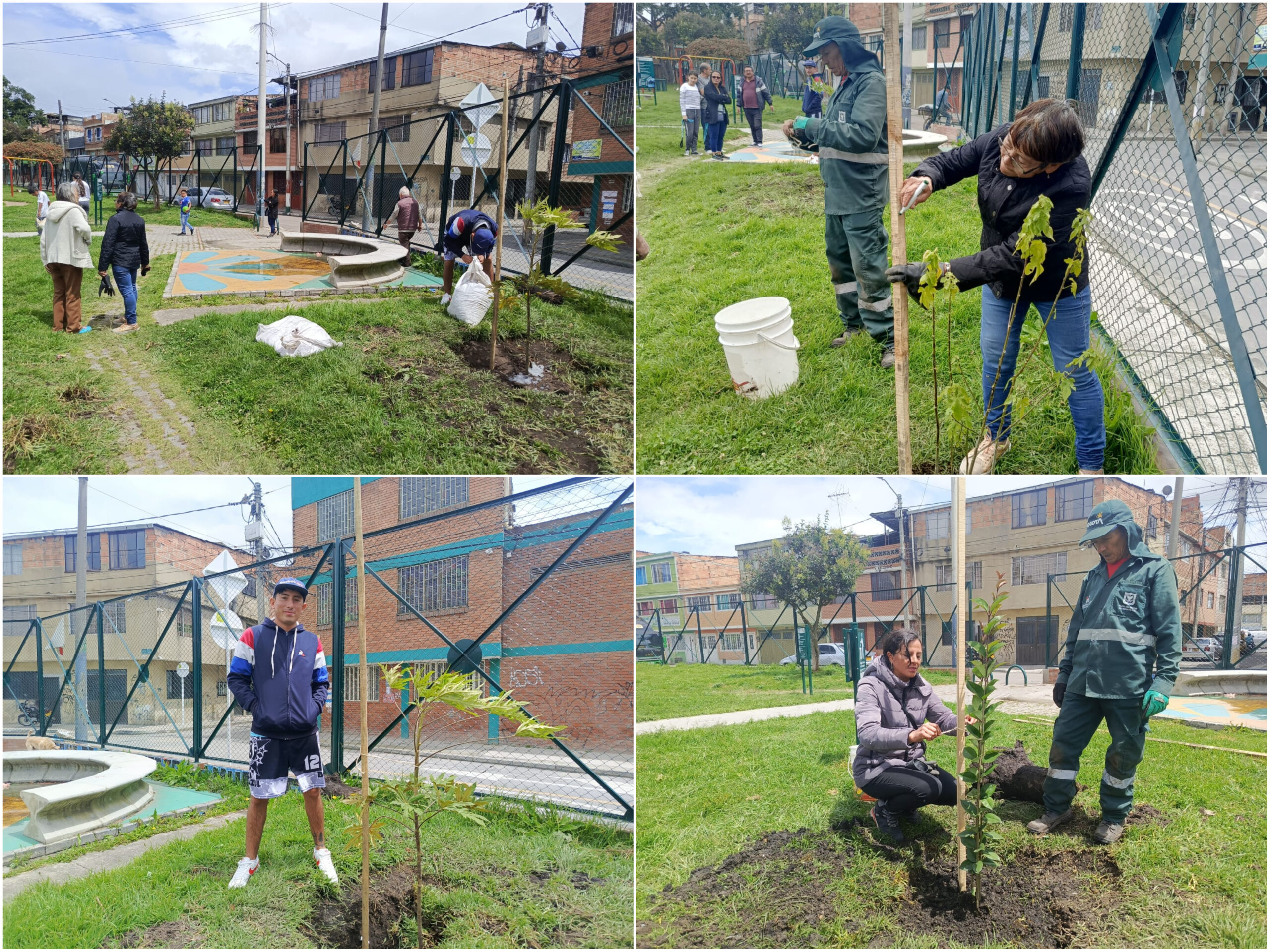 Historias del verde urbano: El verde vuelve a brillar en varias zonas de seis localidades de Bogotá