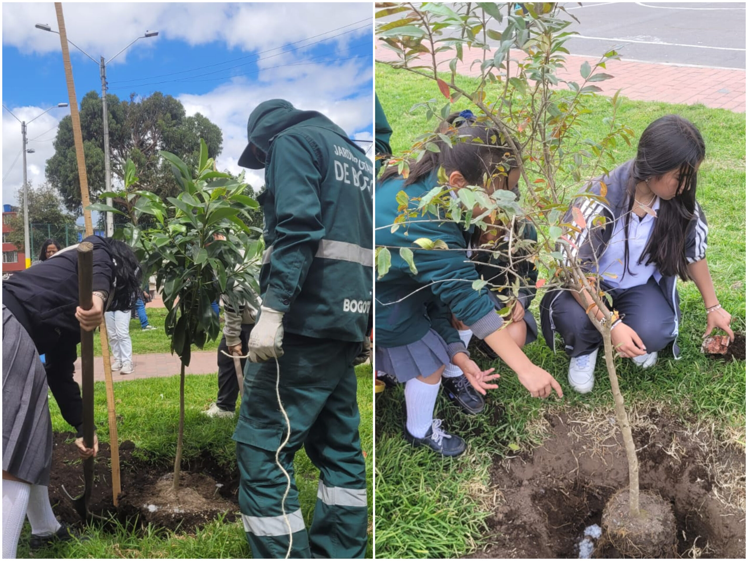 Historias del verde urbano: Estudiantes de colegio se convirtieron en guardianes del arbolado de Kennedy