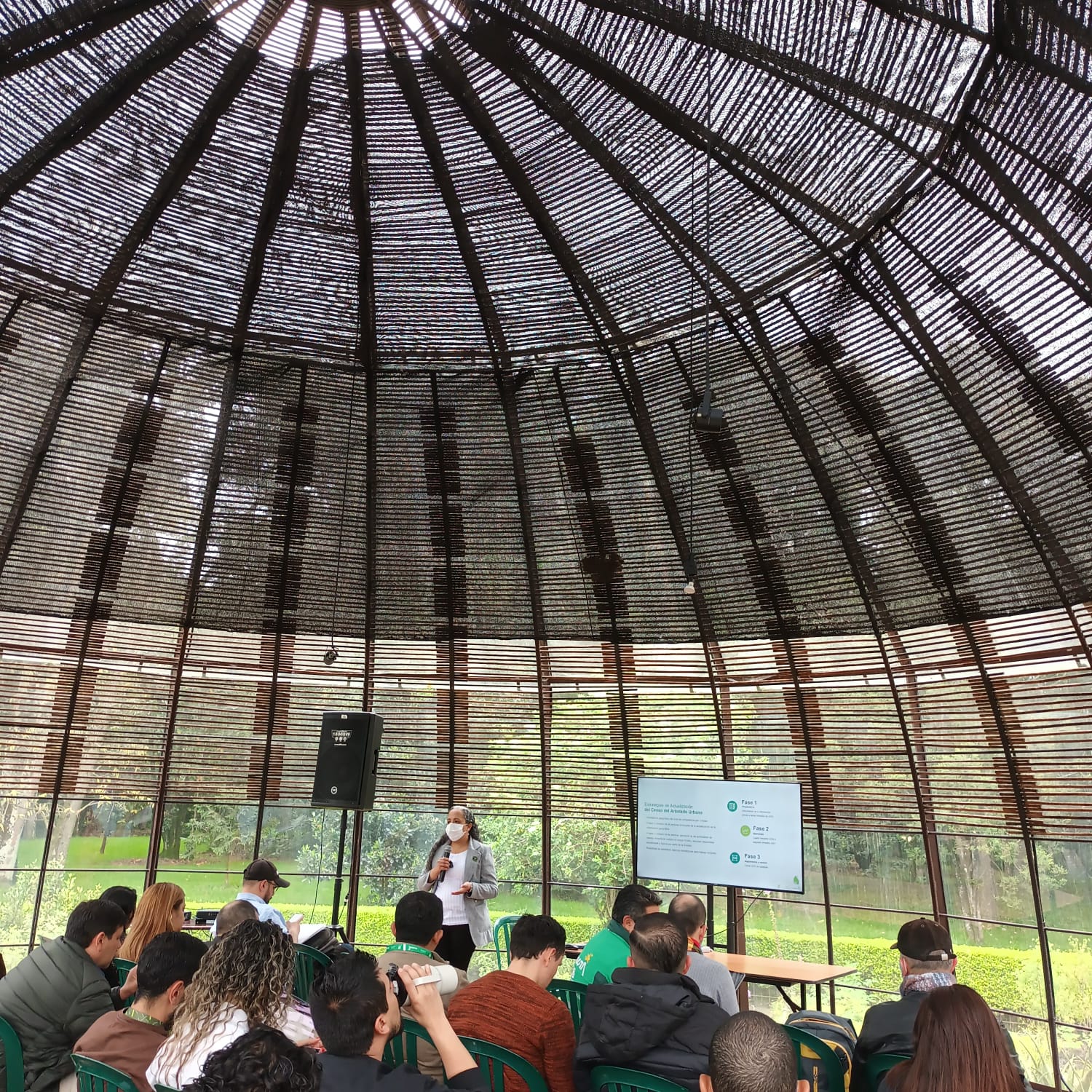 Historias del verde urbano: Bogotá inicia la actualización del censo de su arbolado urbano