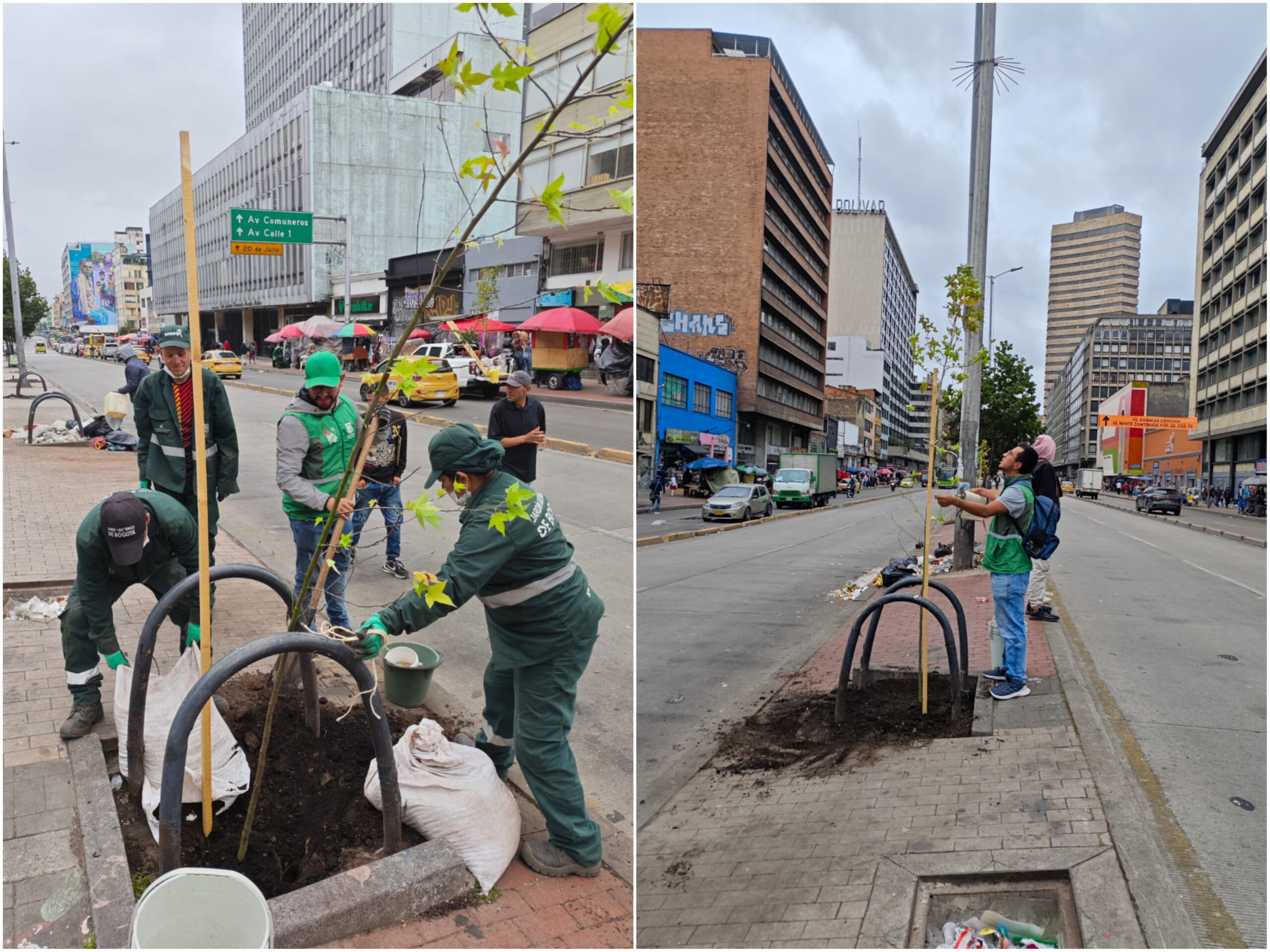 Historias del verde urbano: ¡El verde de la carrera Décima sigue en ascenso!