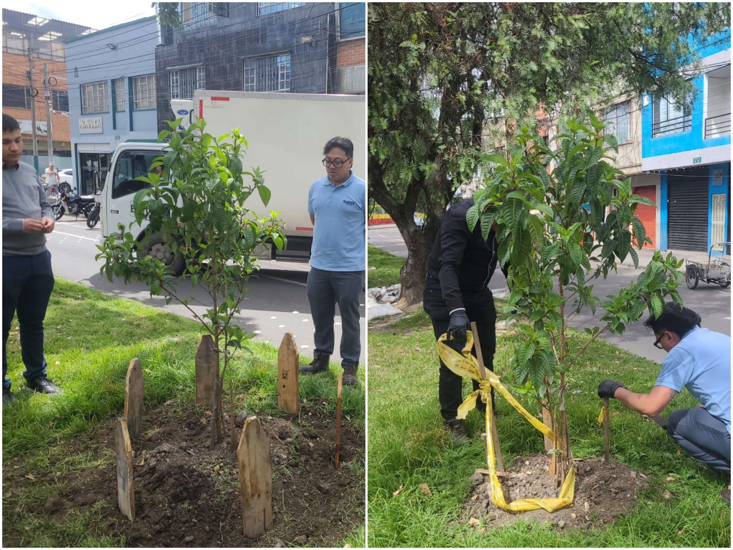 Historias del verde urbano: Jornada de embellecimiento en el barrio Restrepo