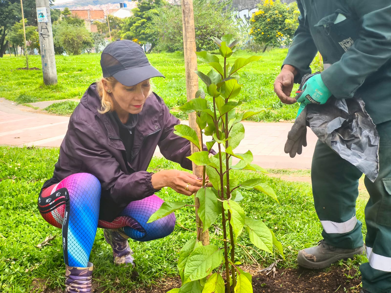 Historias del verde urbano: ¡Explosión verde en el sur de Bogotá!