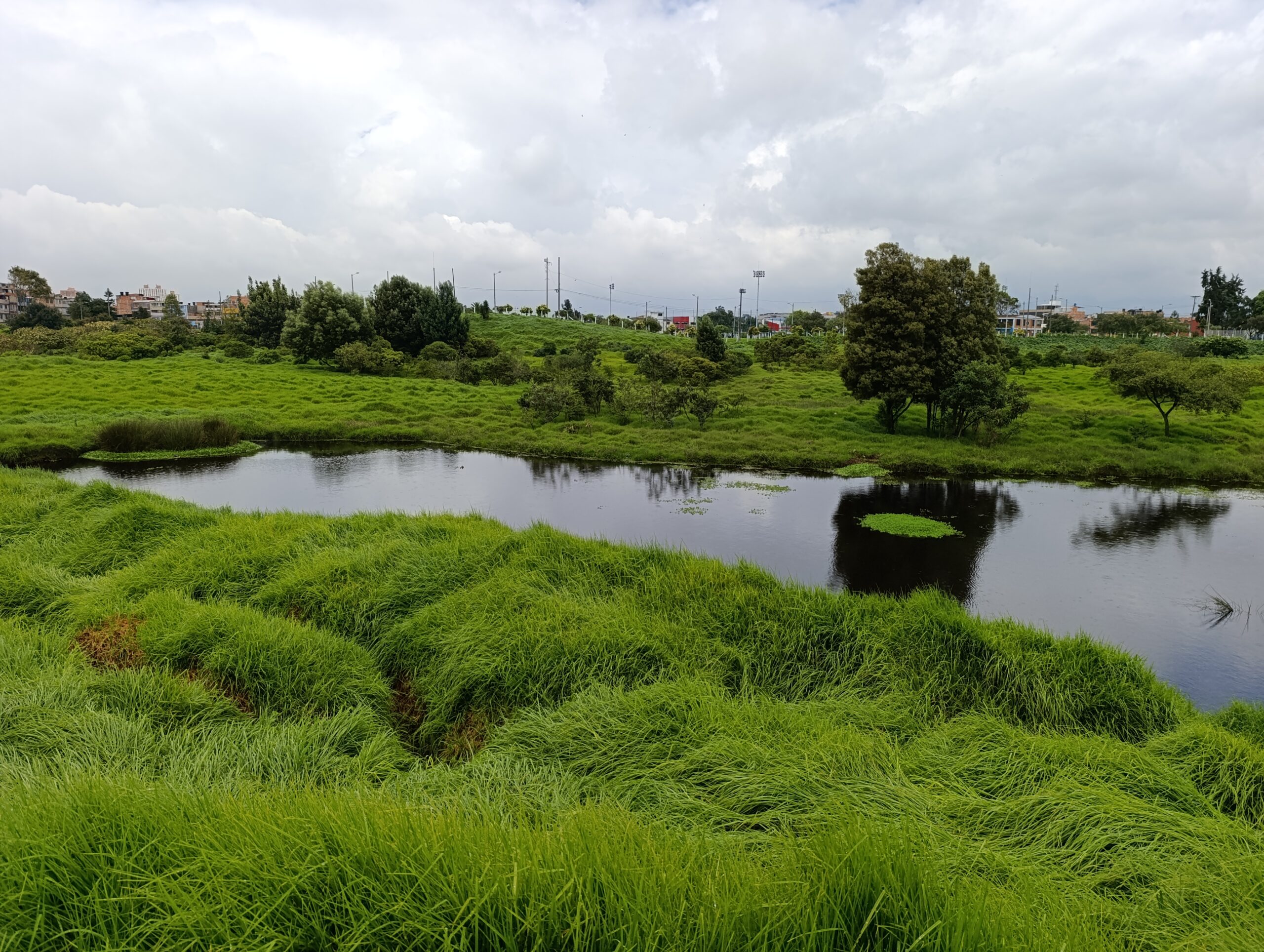 Historias del verde urbano: Colegios de Bosa: nuevos aliados en la renaturalización de la ciudad