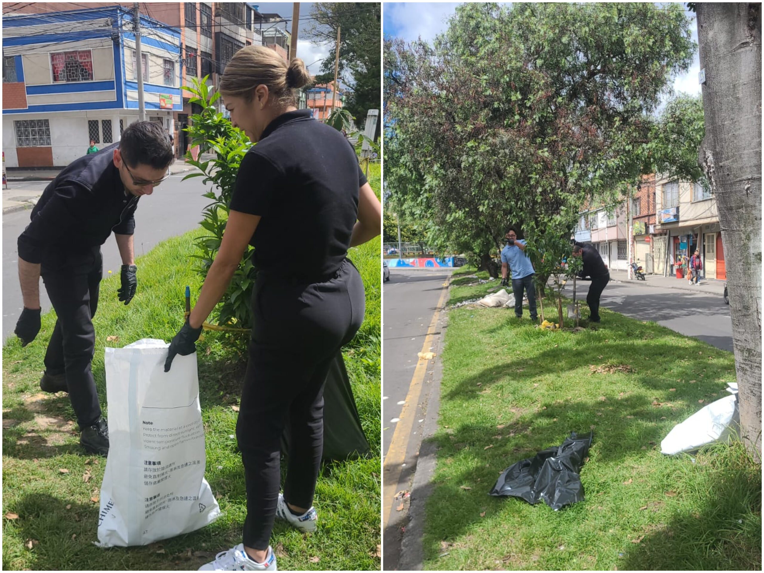 Historias del verde urbano: Jornada de embellecimiento en el barrio Restrepo