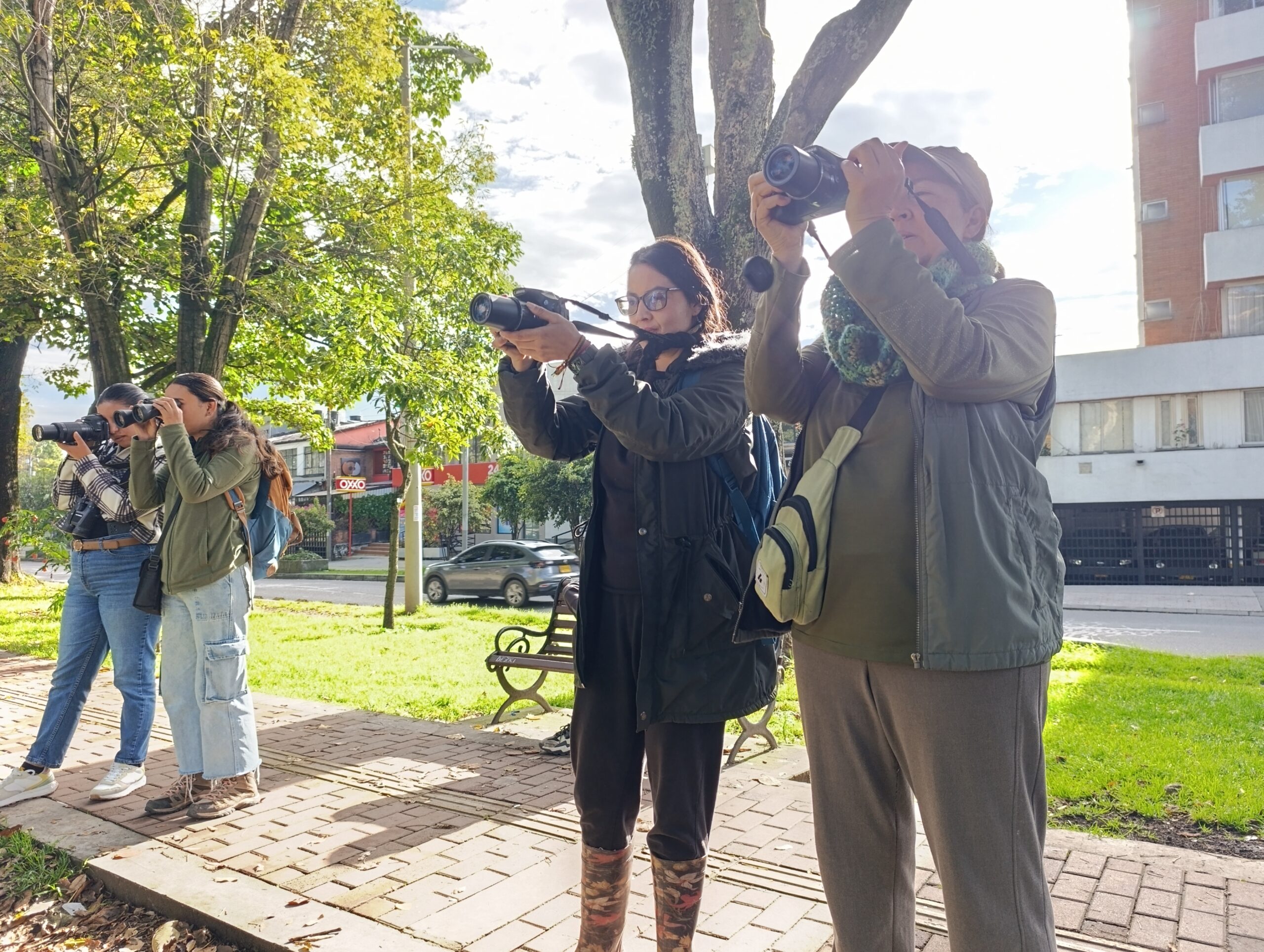 Historias del verde urbano: ¡Pajareando por los bosques urbanos!