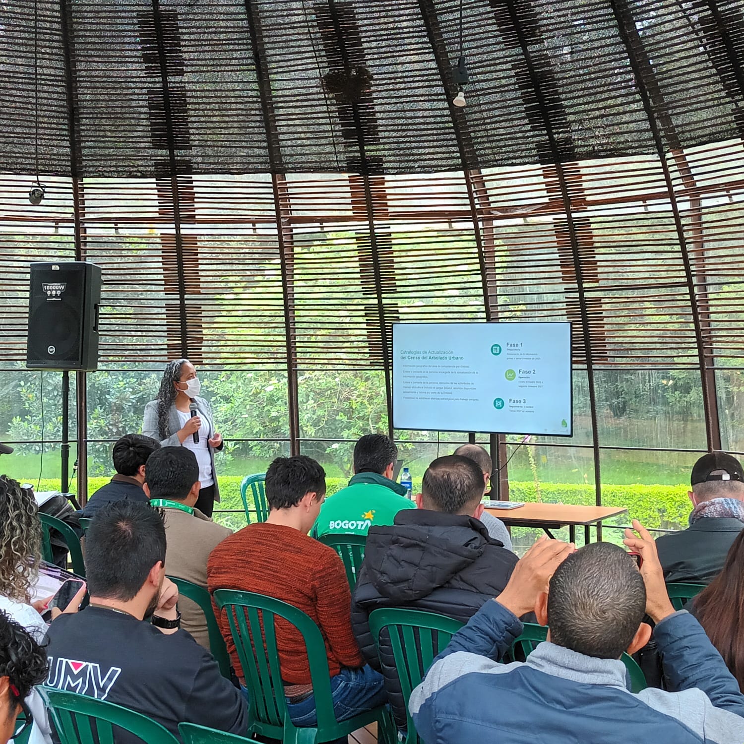 Historias del verde urbano: Bogotá inicia la actualización del censo de su arbolado urbano