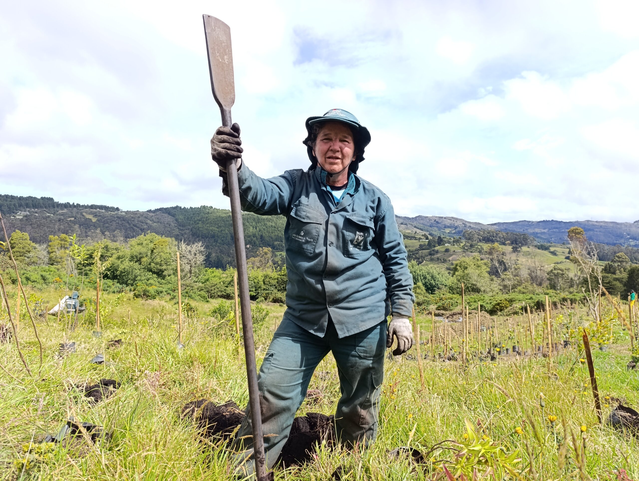 Historias del verde urbano : Homenaje a la vida silvestre con nuevos árboles y jardines