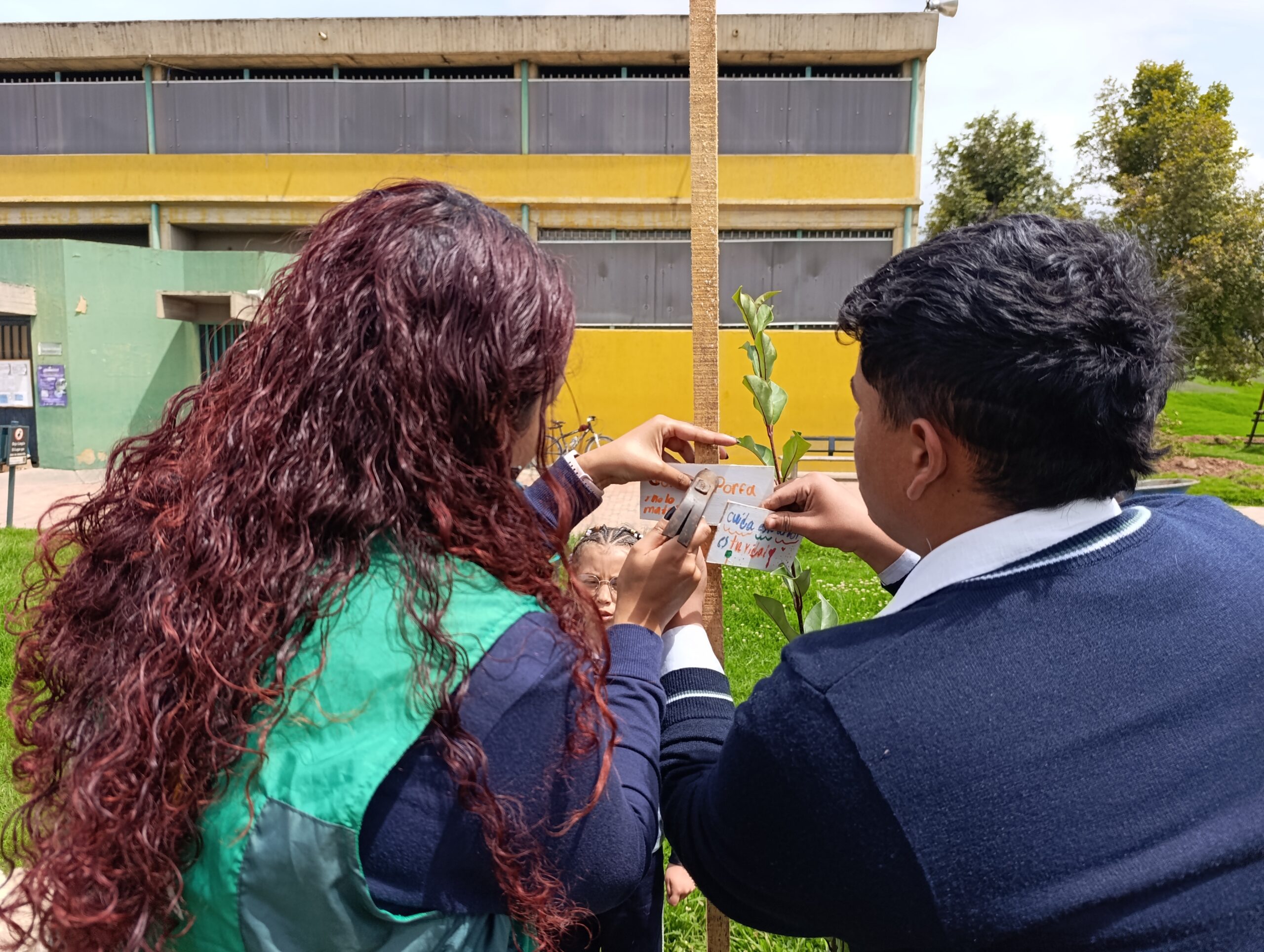 Historias del verde urbano: Colegios de Bosa: nuevos aliados en la renaturalización de la ciudad