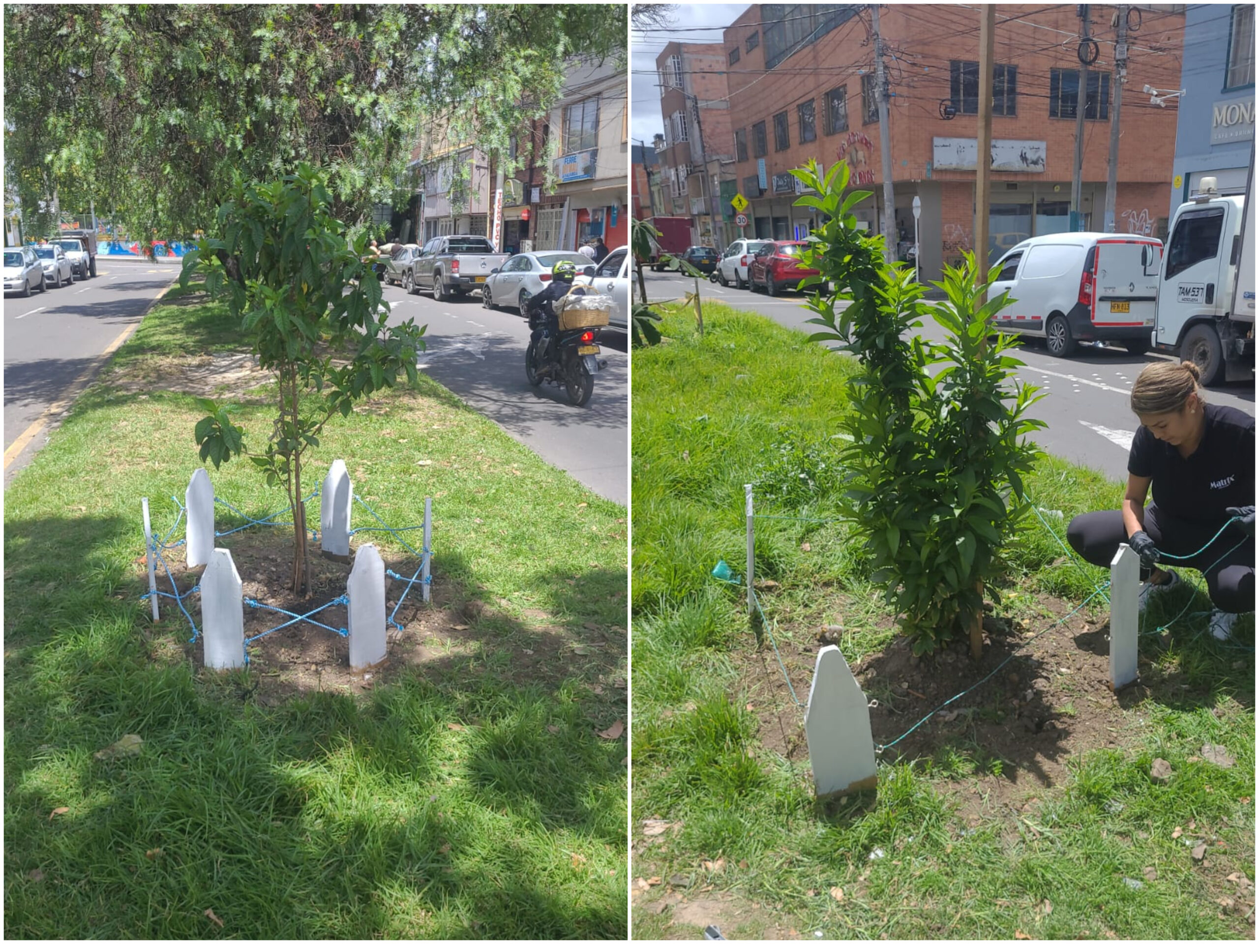 Historias del verde urbano: Jornada de embellecimiento en el barrio Restrepo