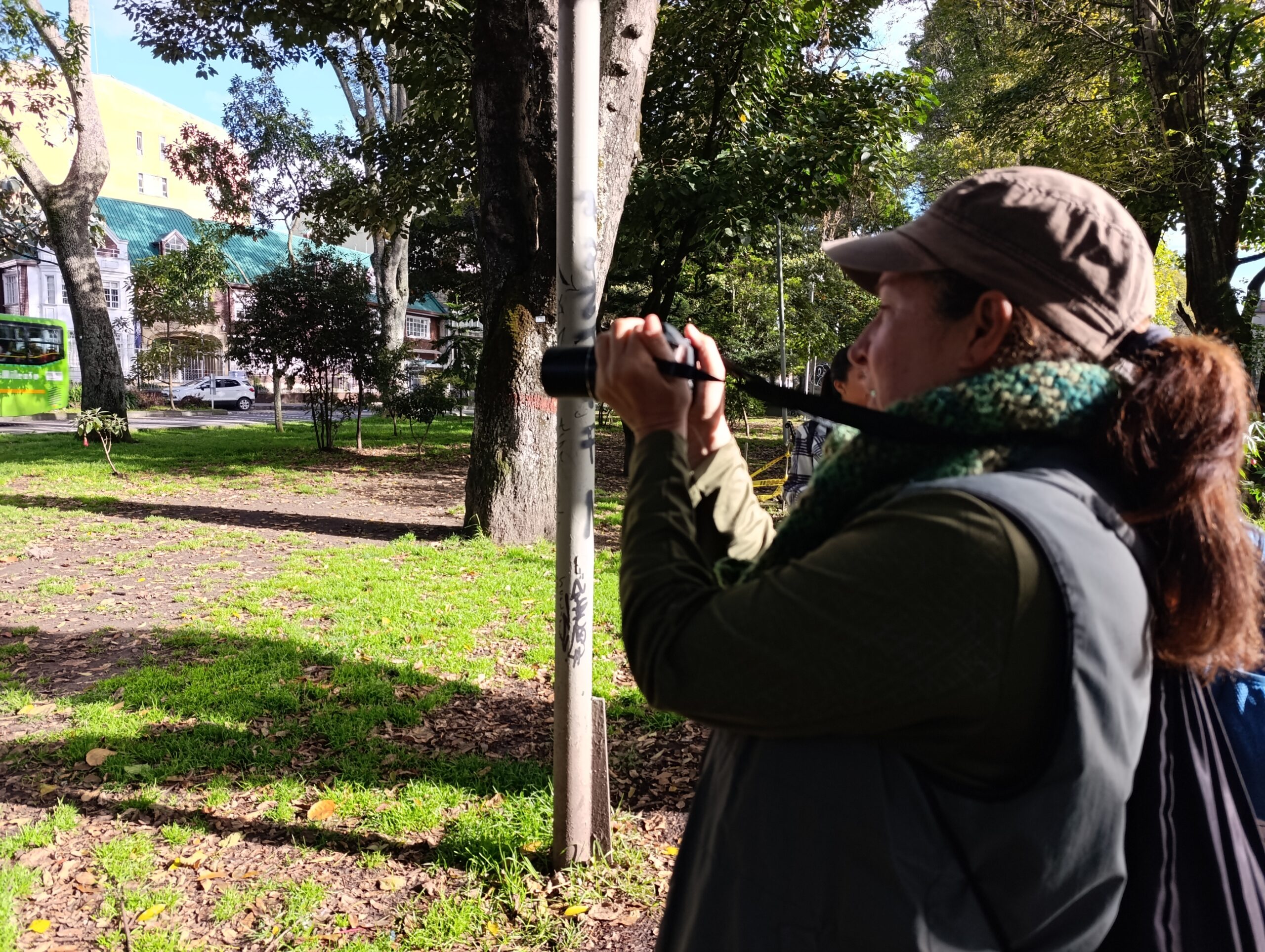 Historias del verde urbano: ¡Pajareando por los bosques urbanos!