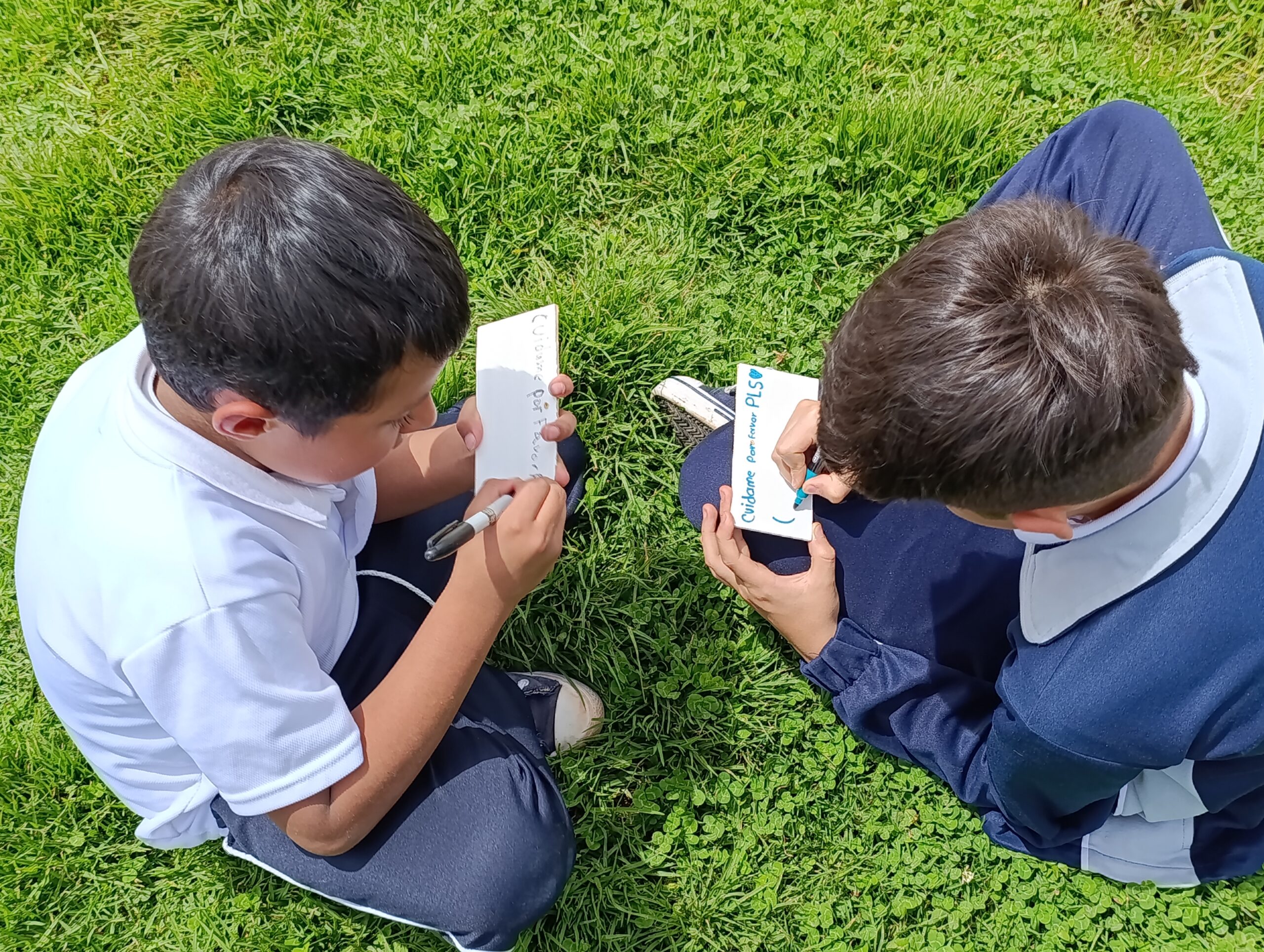 Historias del verde urbano: Colegios de Bosa: nuevos aliados en la renaturalización de la ciudad