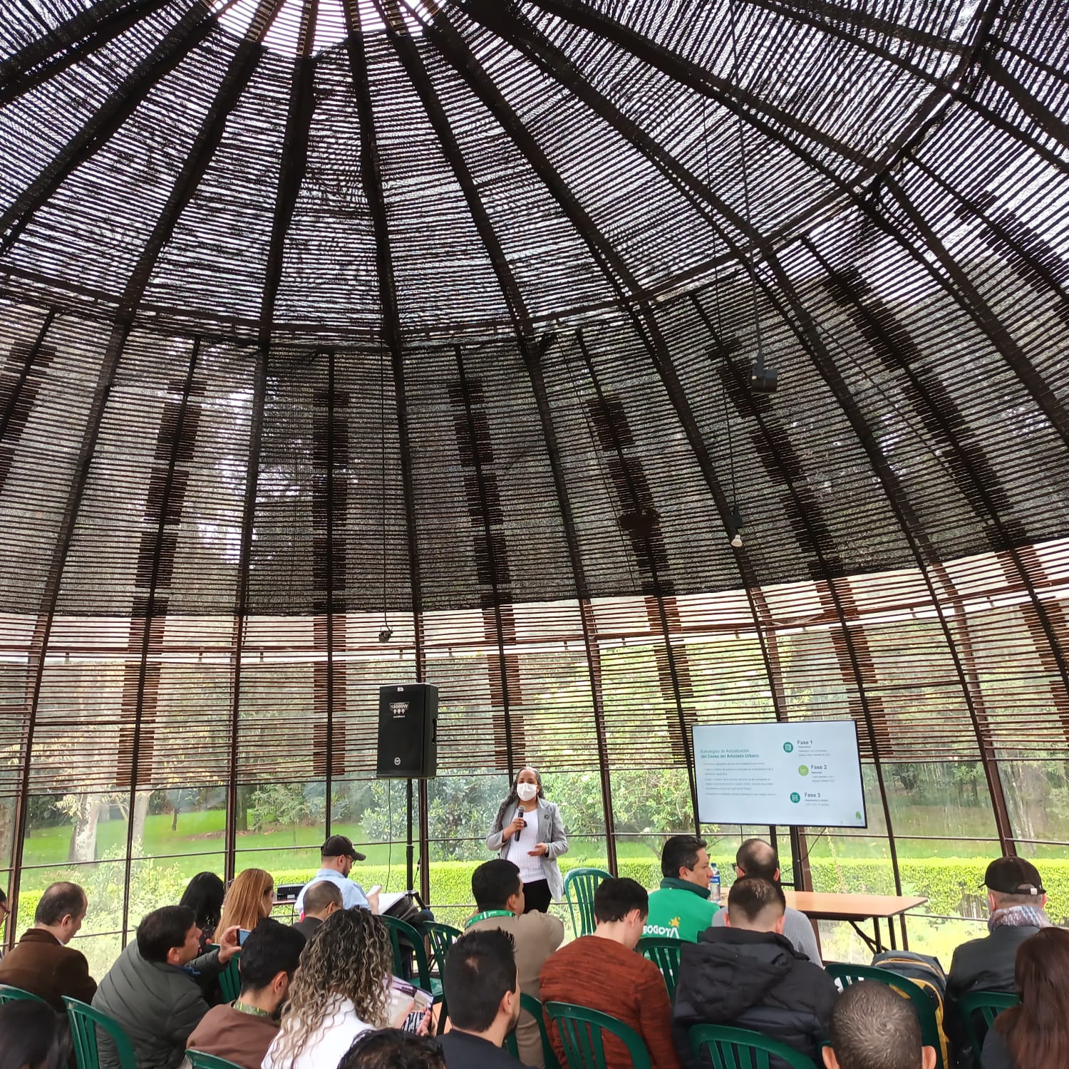 Historias del verde urbano: Bogotá inicia la actualización del censo de su arbolado urbano