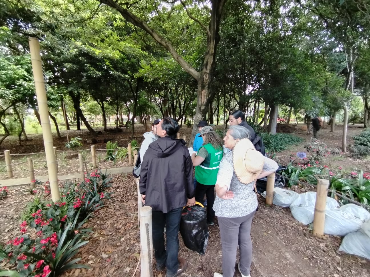 Historias del verde urbano: Bosques urbanos biofílicos: el nuevo proyecto de investigación aplicada del Jardín Botánico de Bogotá