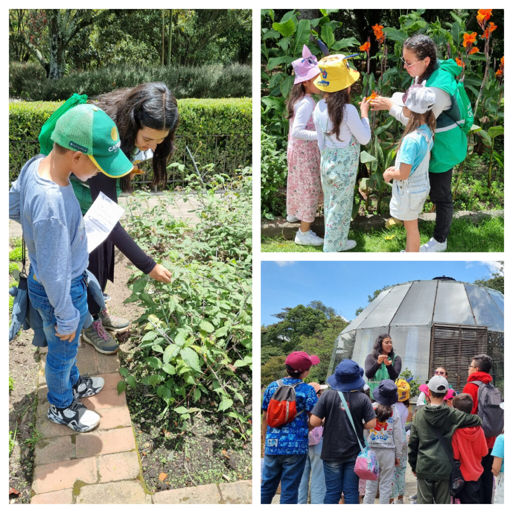 Regresan las Vacaciones Científicas al Jardín Botánico: una aventura para aprender y descubrir los encantos de la naturaleza