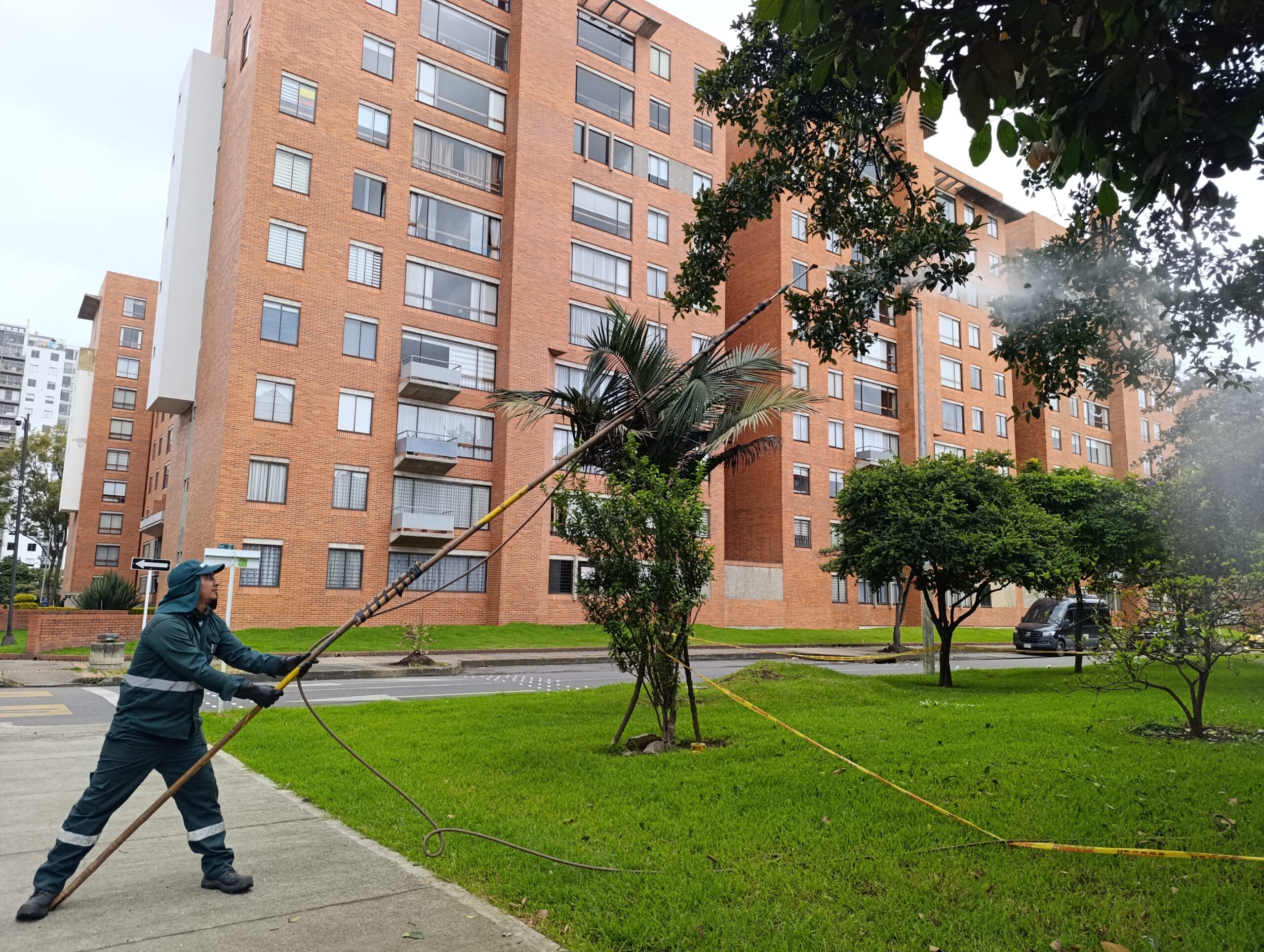 Historias del verde urbano: Magnolios y cauchos sabaneros de Salitre Oriental se blindan contra las plagas