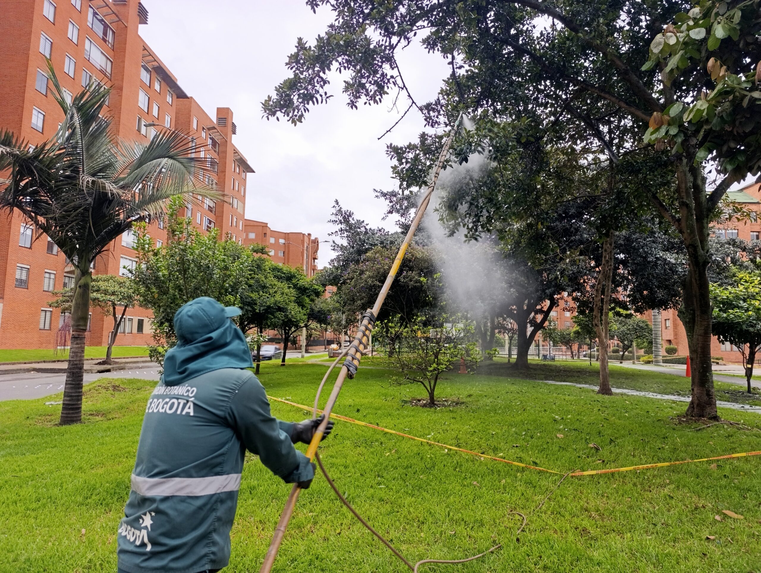 Historias del verde urbano: Magnolios y cauchos sabaneros de Salitre Oriental se blindan contra las plagas