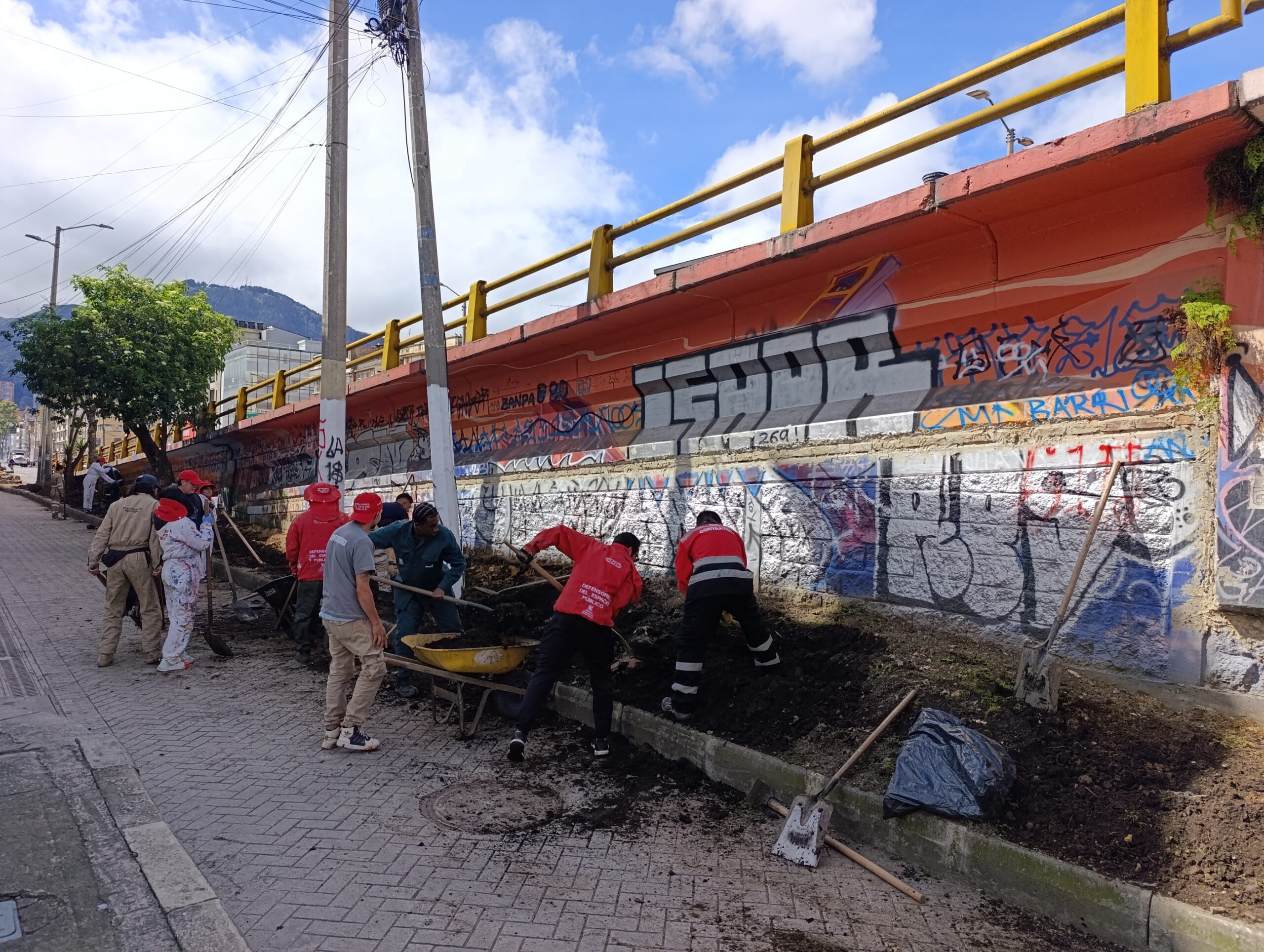 Historias del verde urbano: La transformación verde del puente vehícular de la calle 53 con carrera 30