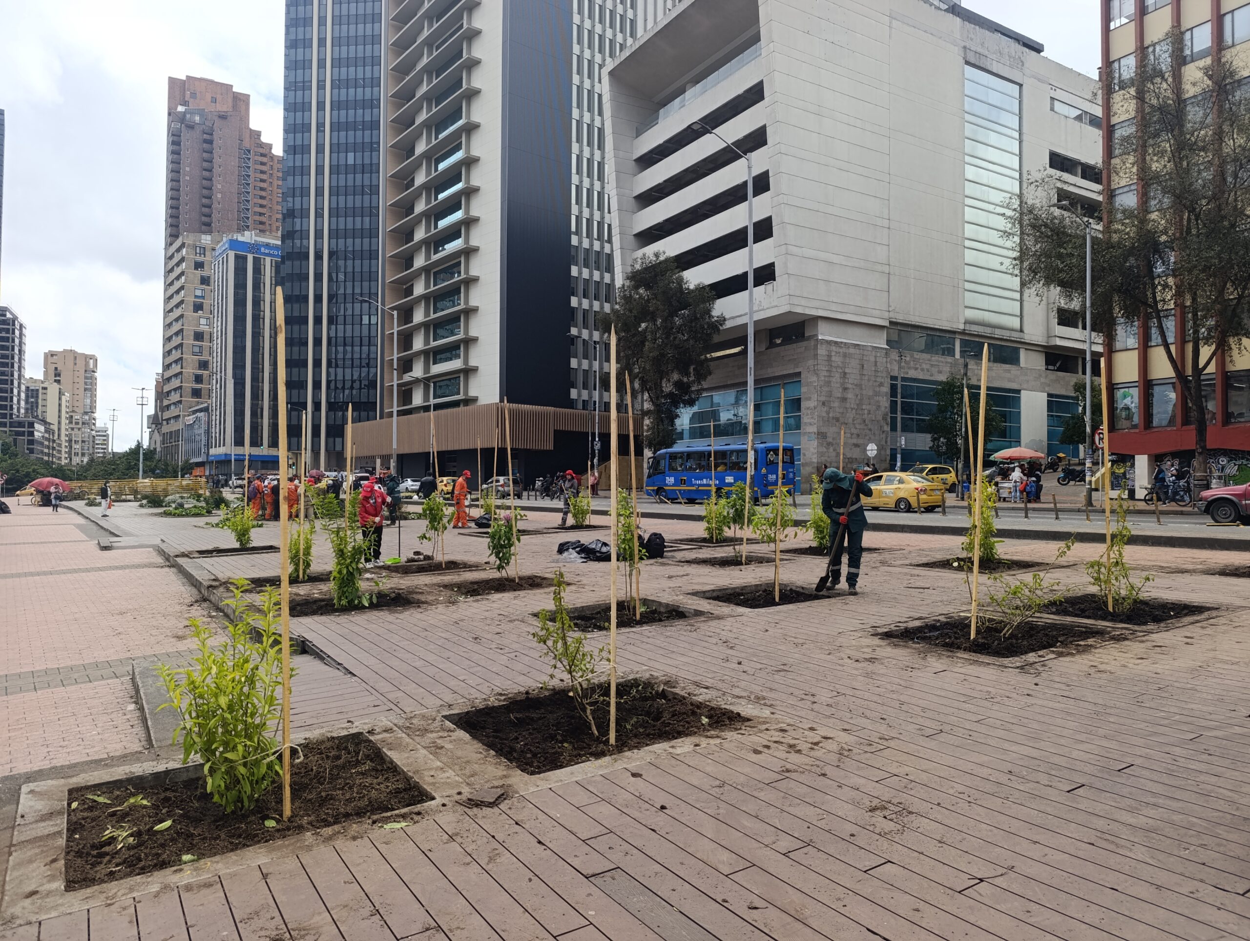 Historias del verde urbano: El bulevar de la estación Museo Nacional recuperó sus coberturas vegetales