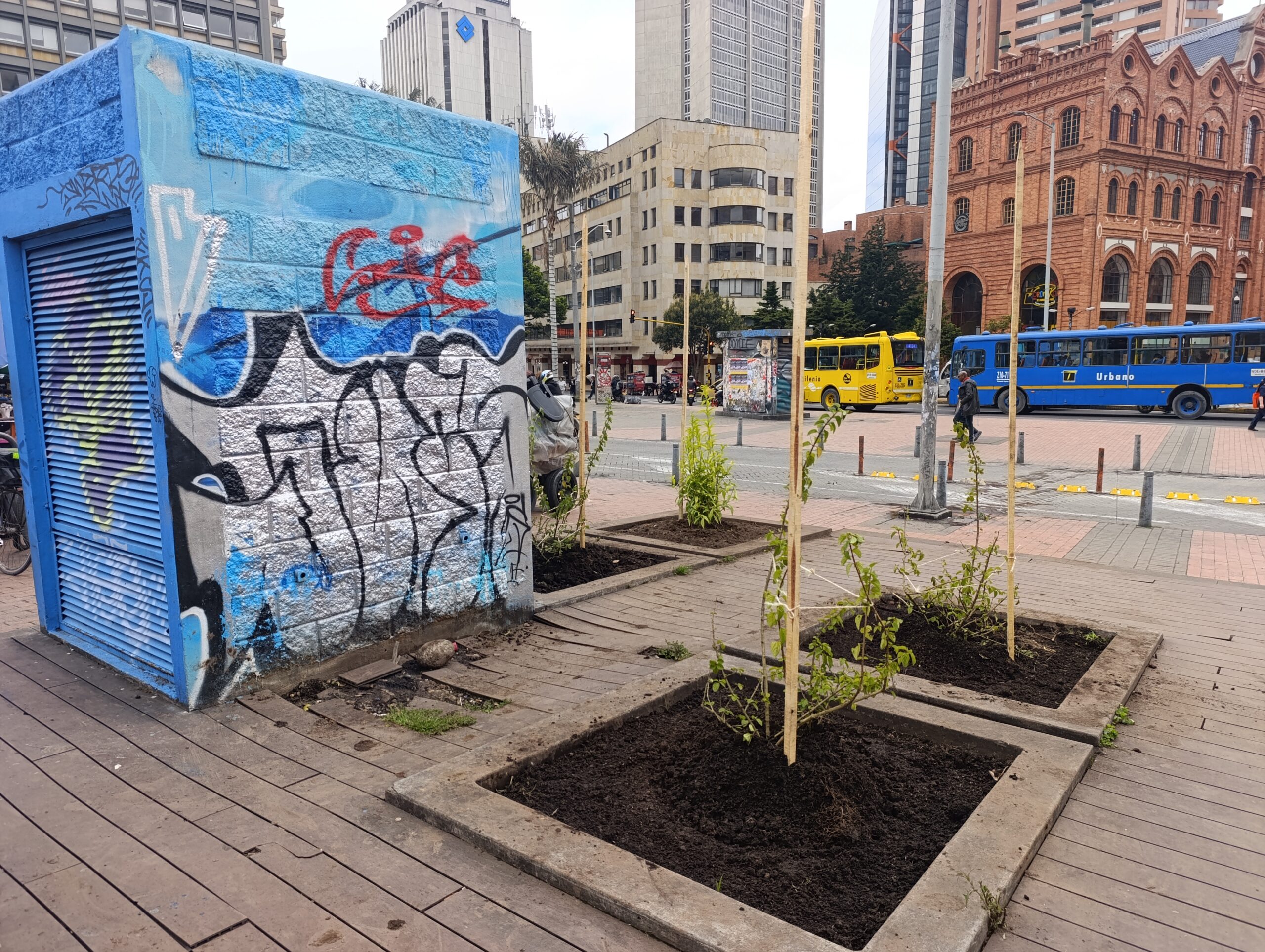 Historias del verde urbano: El bulevar de la estación Museo Nacional recuperó sus coberturas vegetales