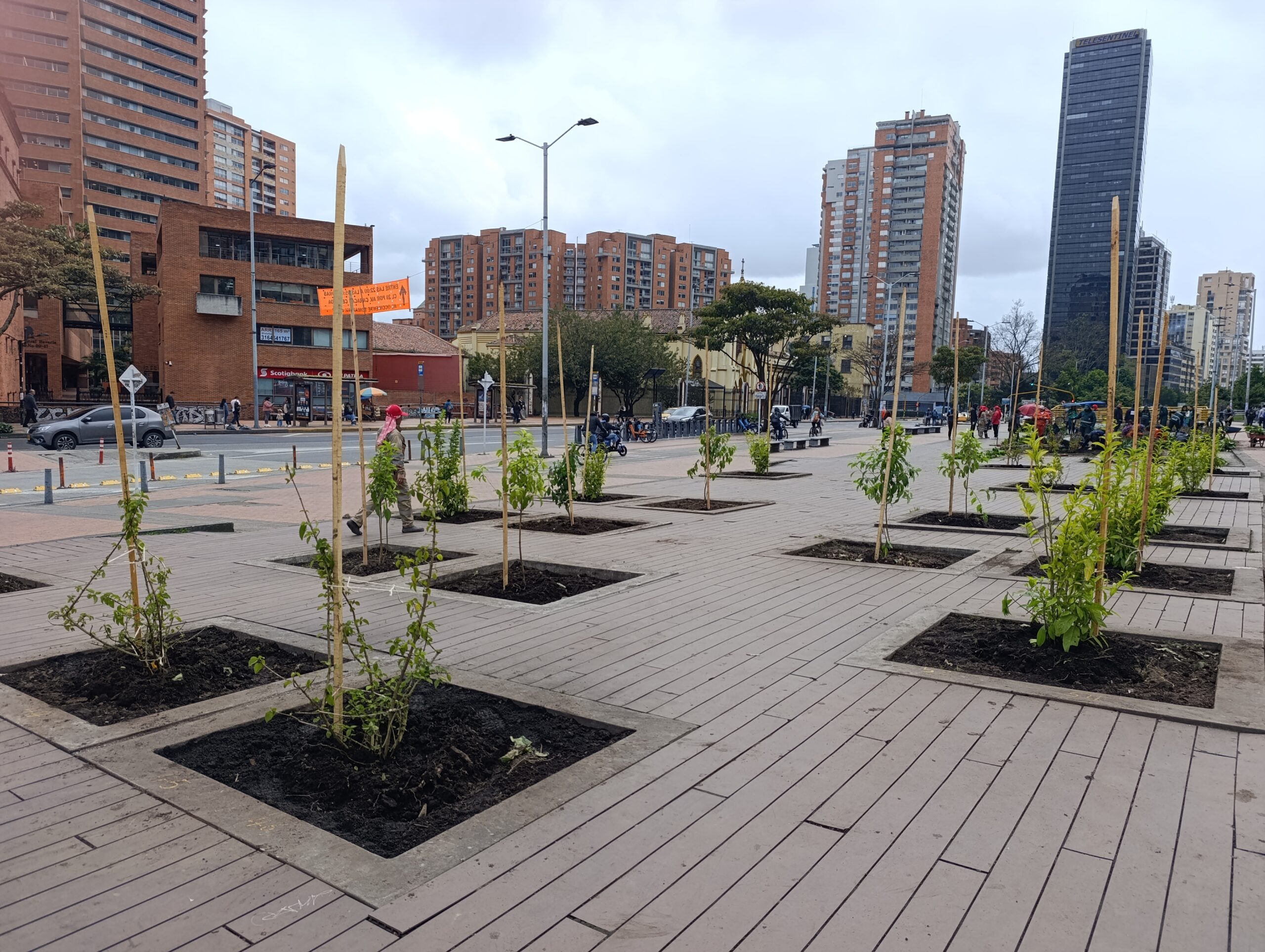 Historias del verde urbano: El bulevar de la estación Museo Nacional recuperó sus coberturas vegetales