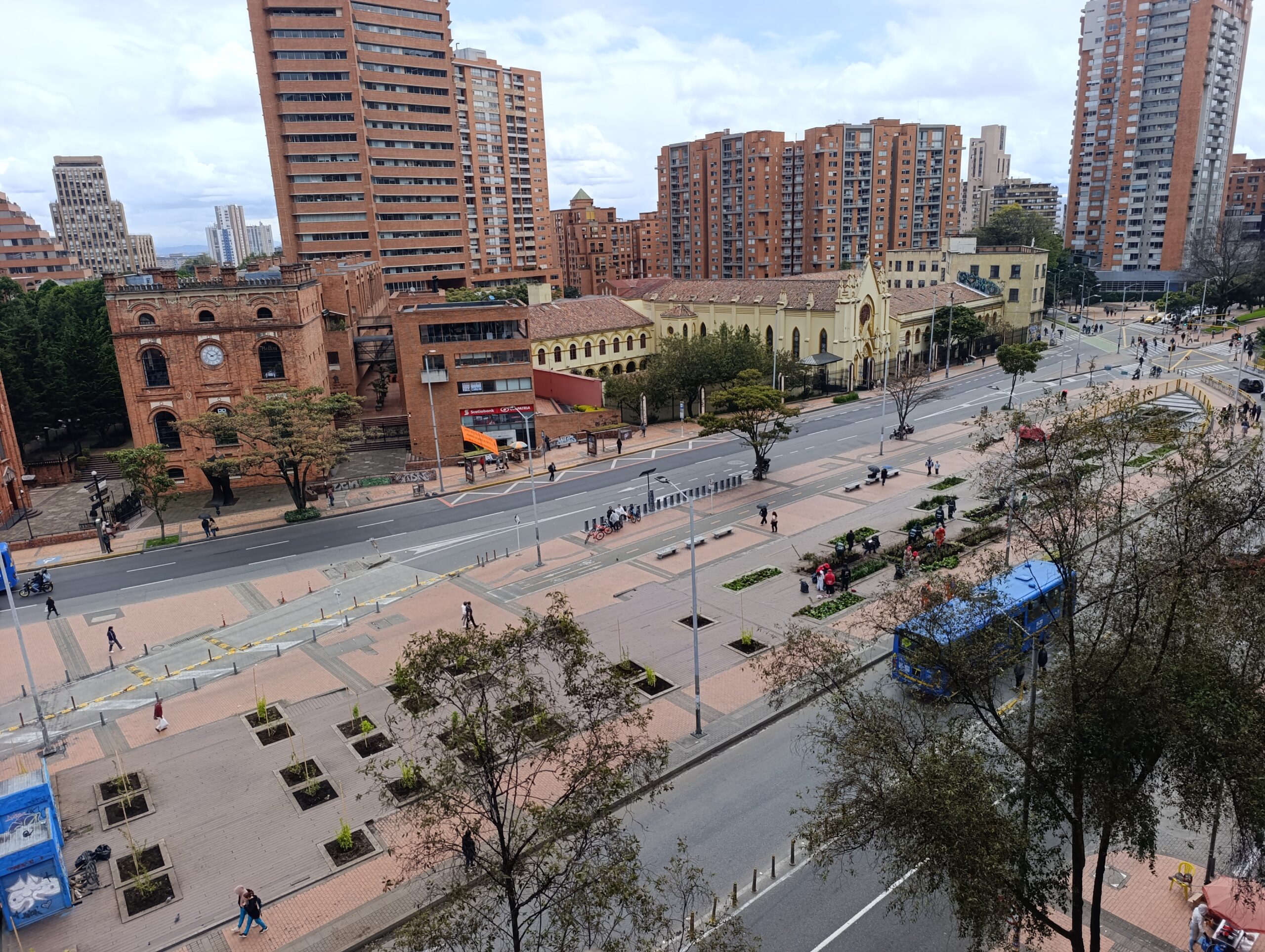 Historias del verde urbano: El bulevar de la estación Museo Nacional recuperó sus coberturas vegetales