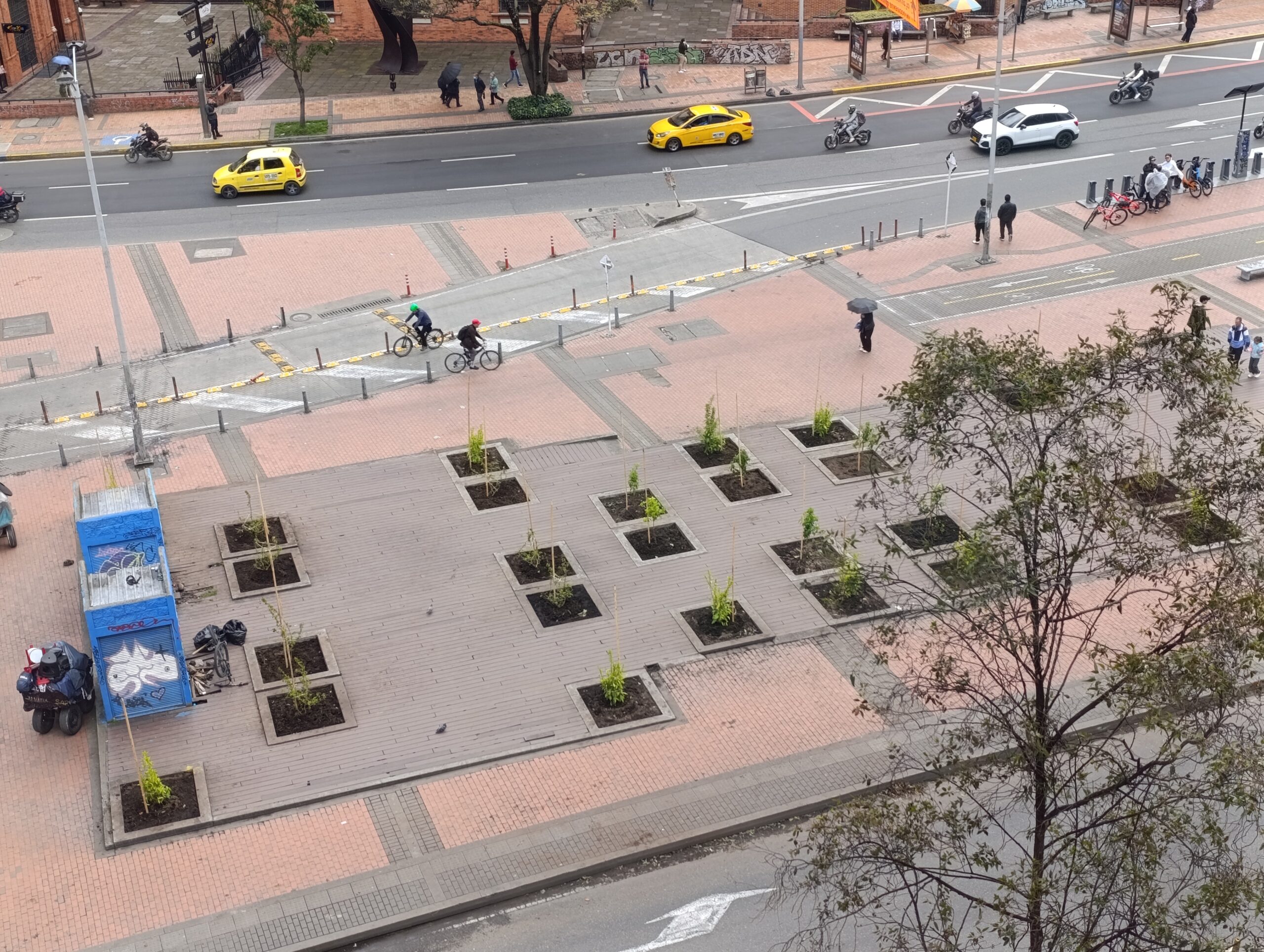 Historias del verde urbano: El bulevar de la estación Museo Nacional recuperó sus coberturas vegetales