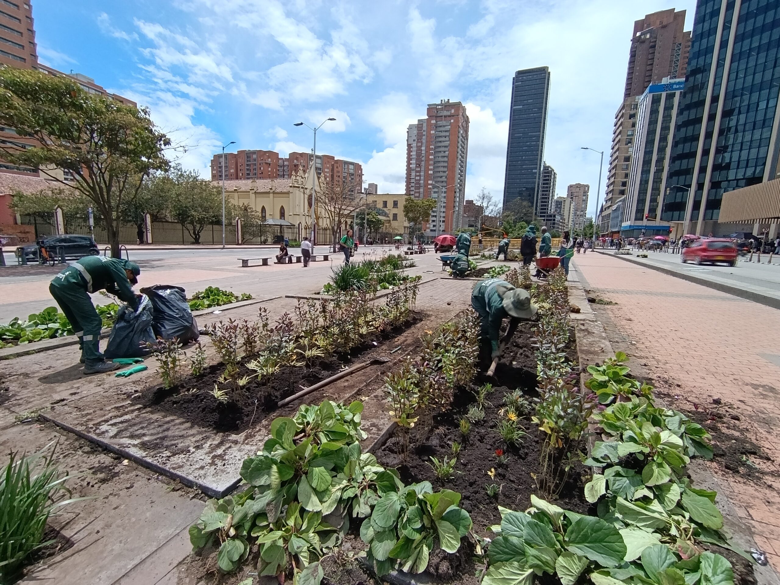 Historias del verde urbano: El bulevar de la estación Museo Nacional recuperó sus coberturas vegetales