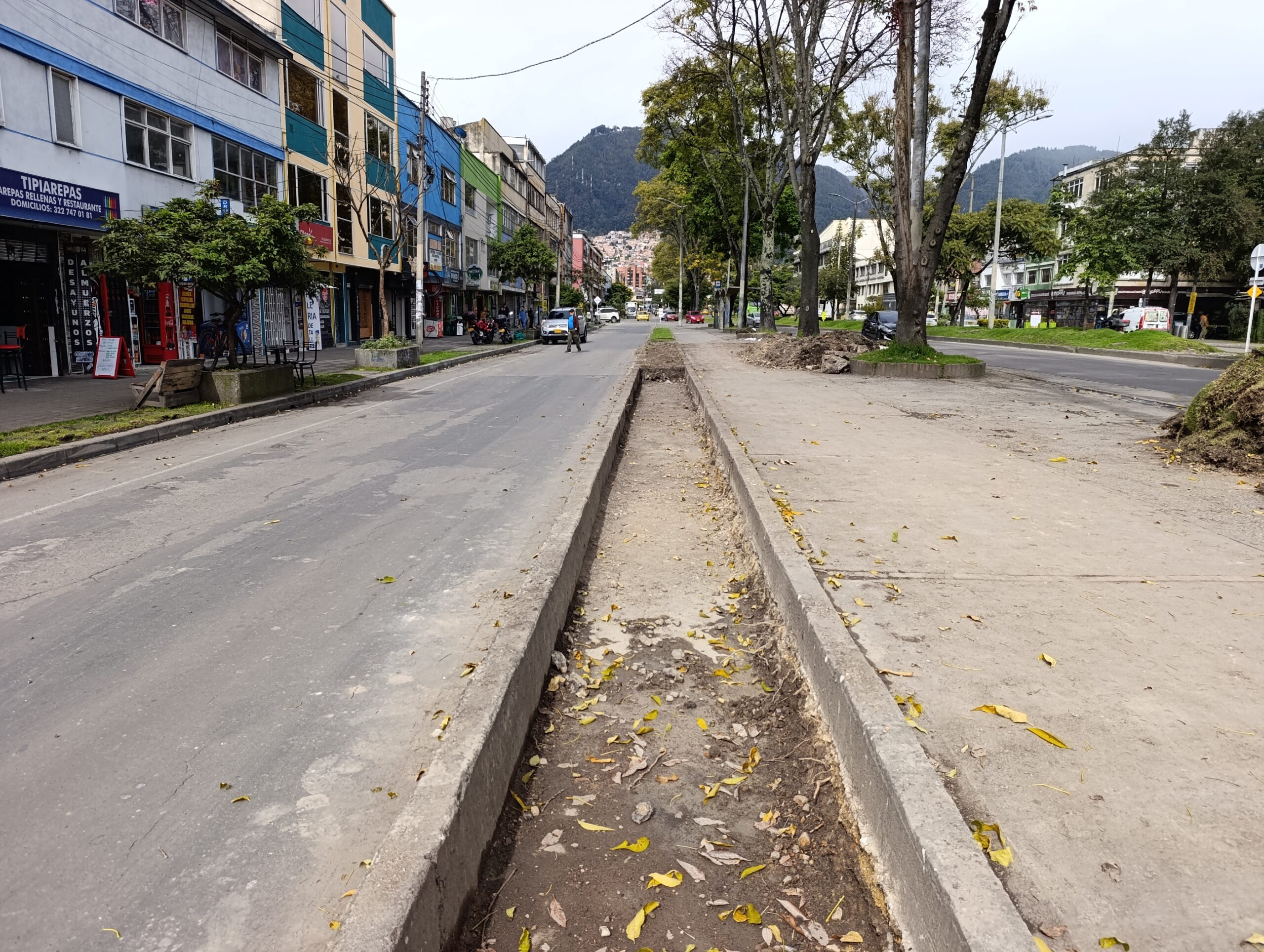 Historias del verde urbano: ¡Puente vehicular de la calle 45 florece con nuevas jardineras!