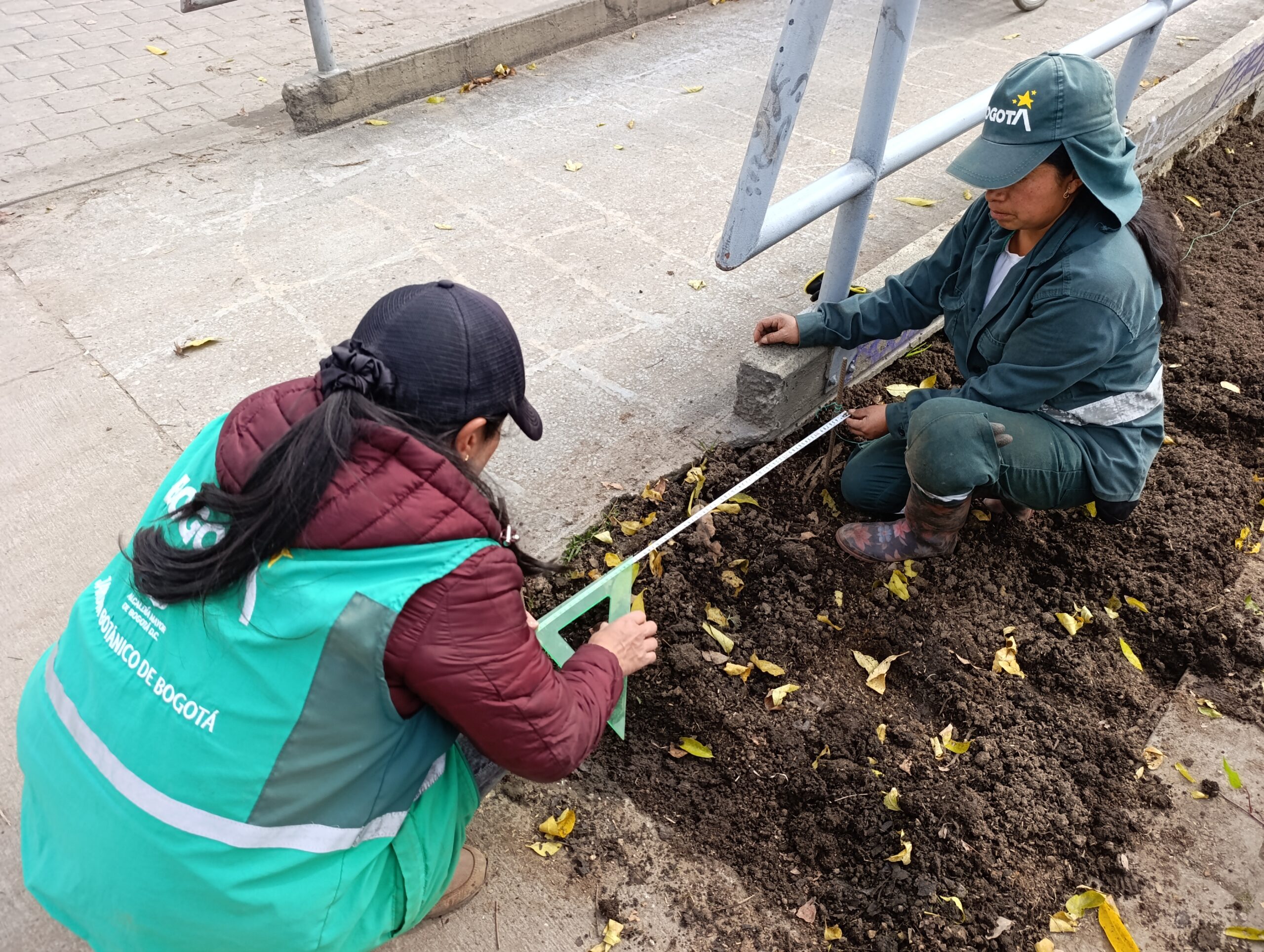 Historias del verde urbano: ¡Puente vehicular de la calle 45 florece con nuevas jardineras!