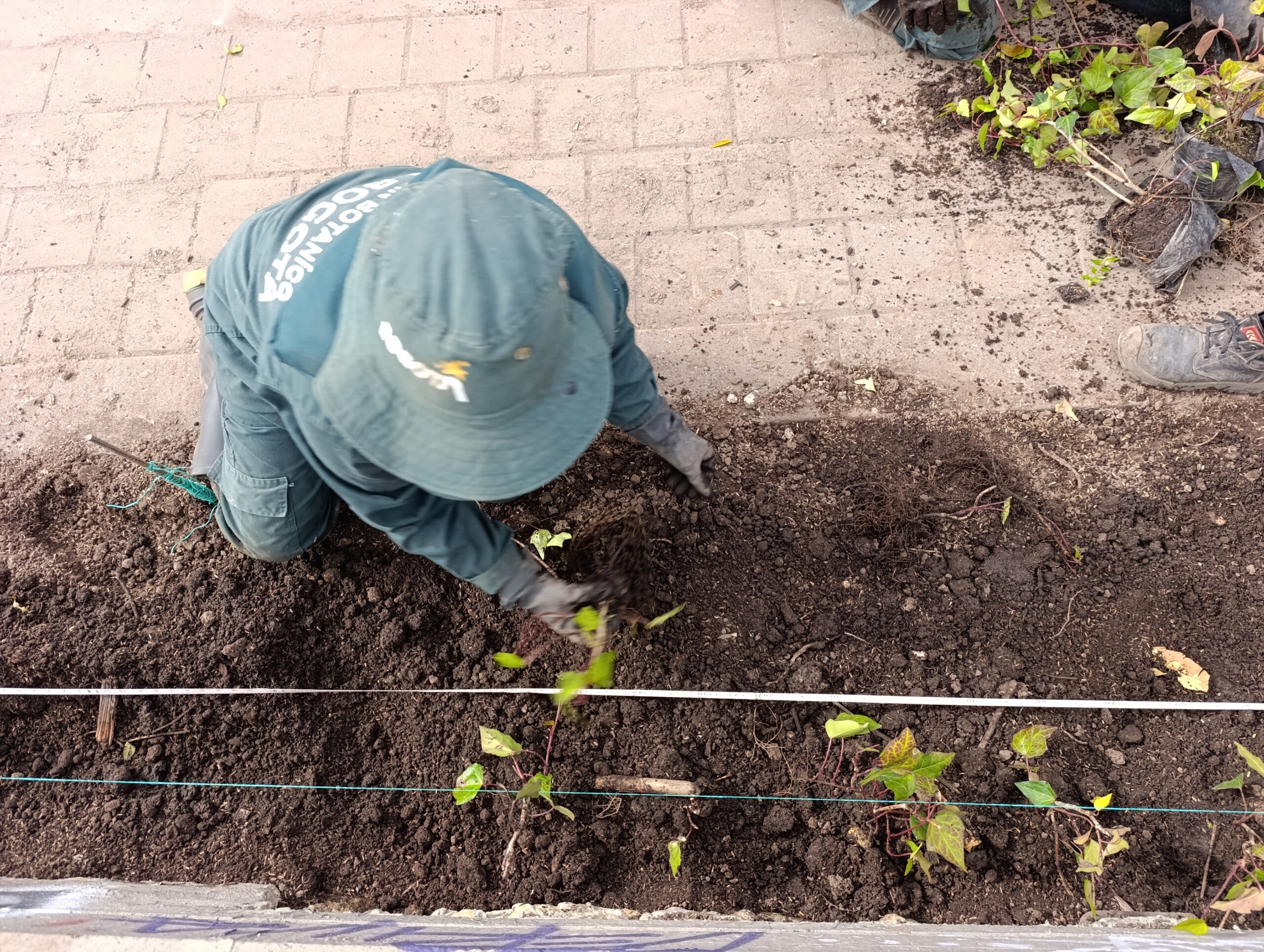 Historias del verde urbano: ¡Puente vehicular de la calle 45 florece con nuevas jardineras!