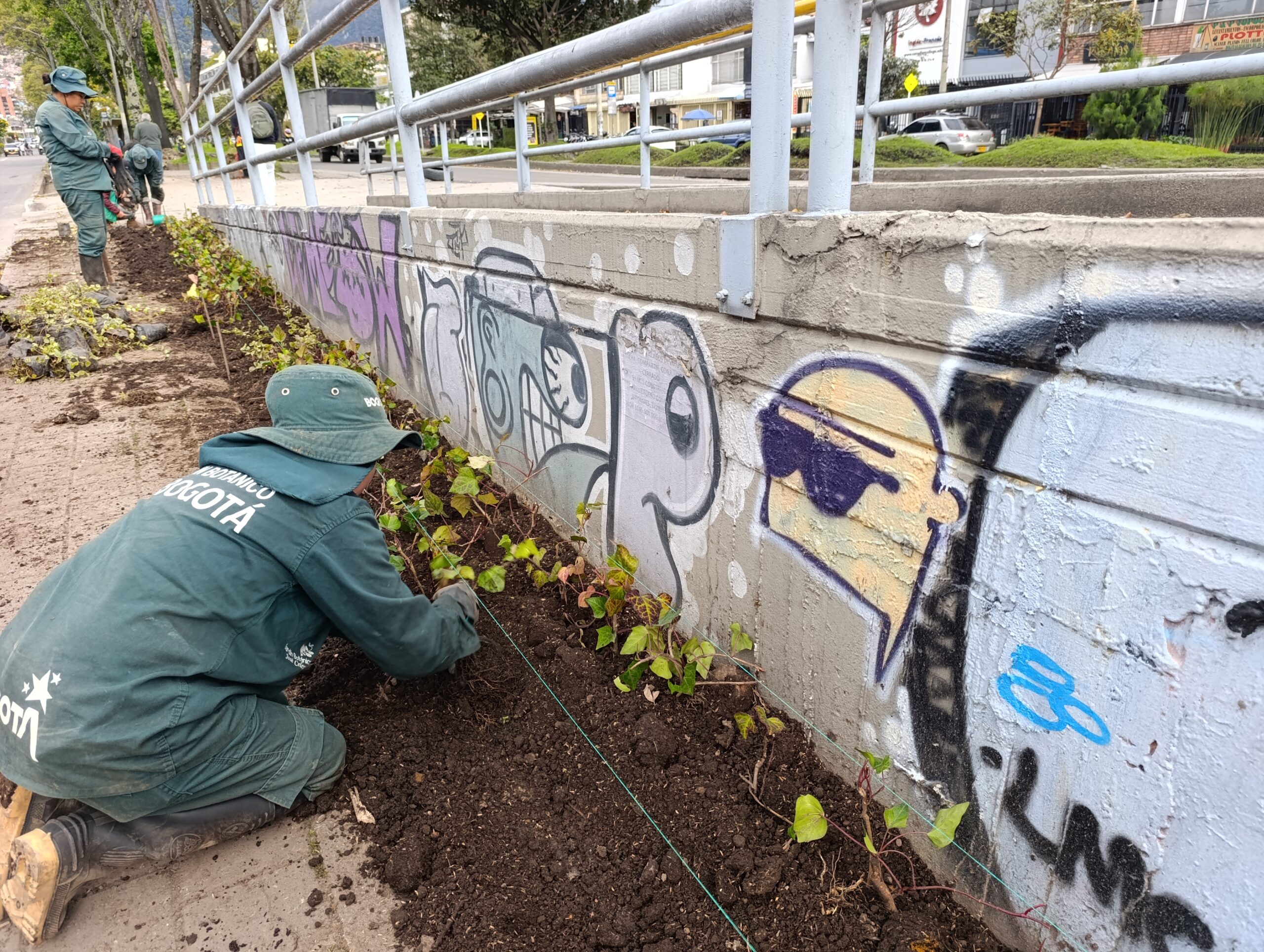 Historias del verde urbano: ¡Puente vehicular de la calle 45 florece con nuevas jardineras!