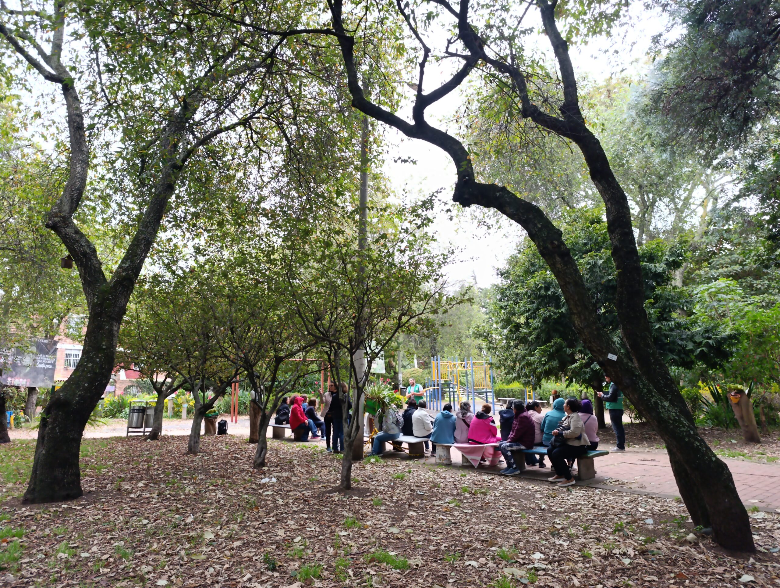 Historias del verde urbano: Un taller de semillas bajo el dosel del bosque urbano de Granada