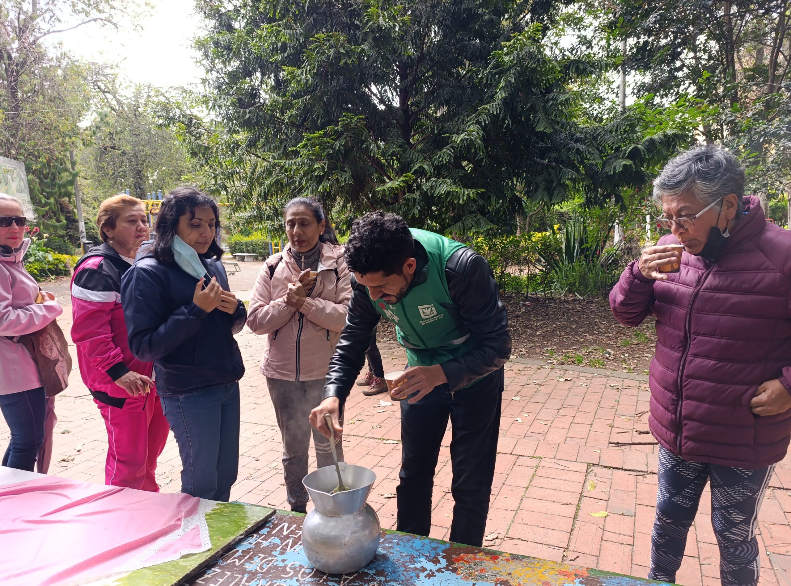 Historias del verde urbano: Un taller de semillas bajo el dosel del bosque urbano de Granada
