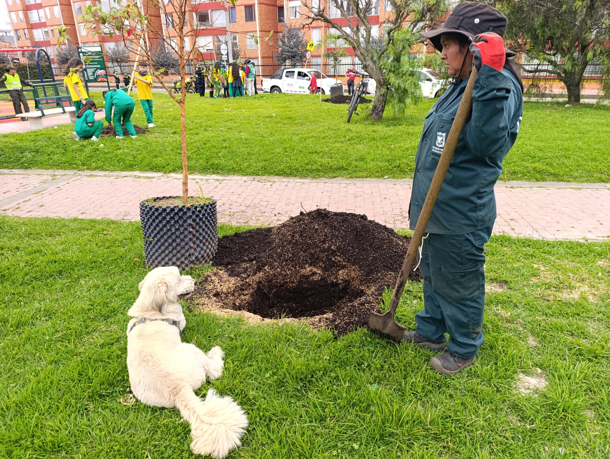 Historias del verde urbano: Los Mandarinos: dos parques de Engativá que diversificaron su arbolado