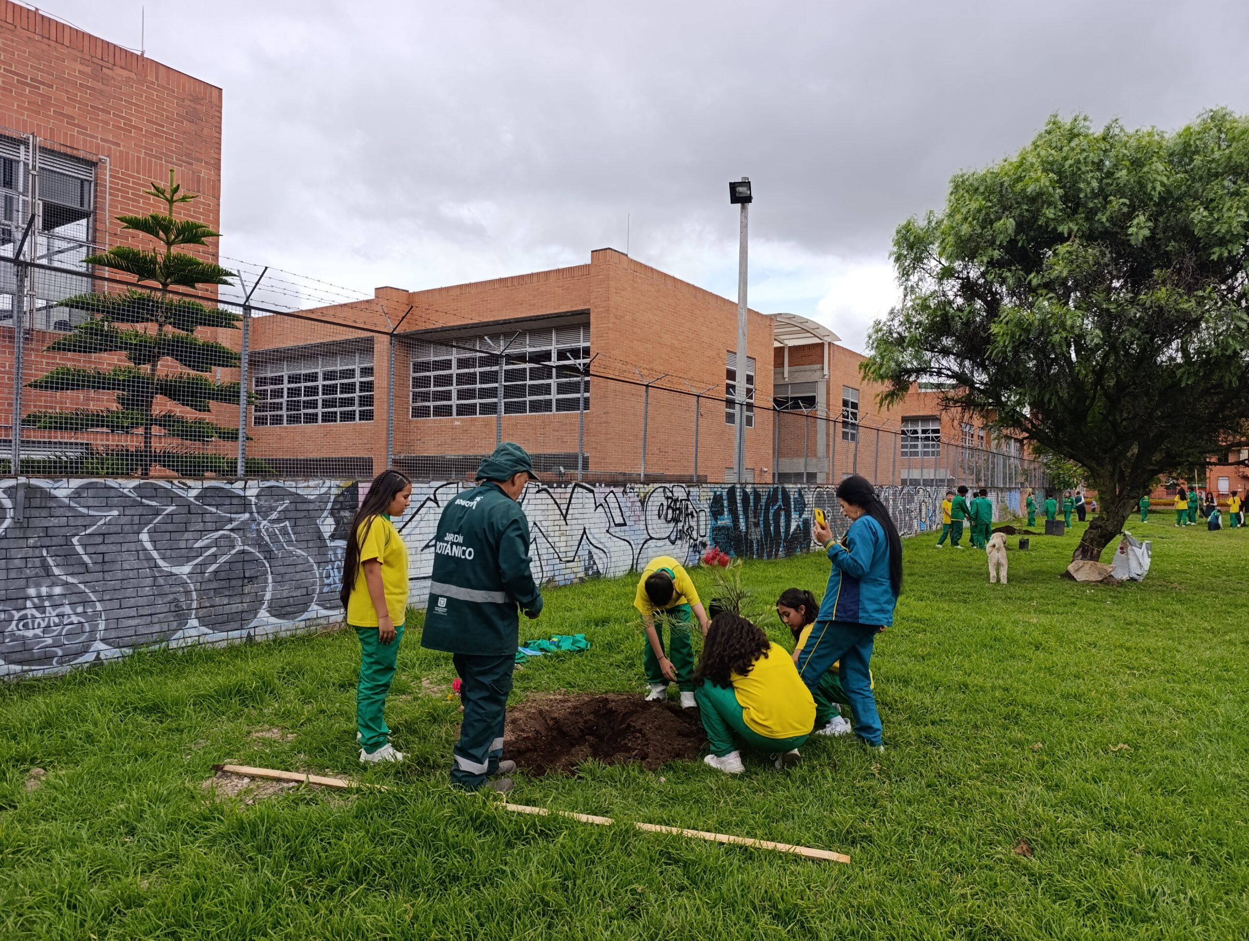 Historias del verde urbano: Los Mandarinos: dos parques de Engativá que diversificaron su arbolado