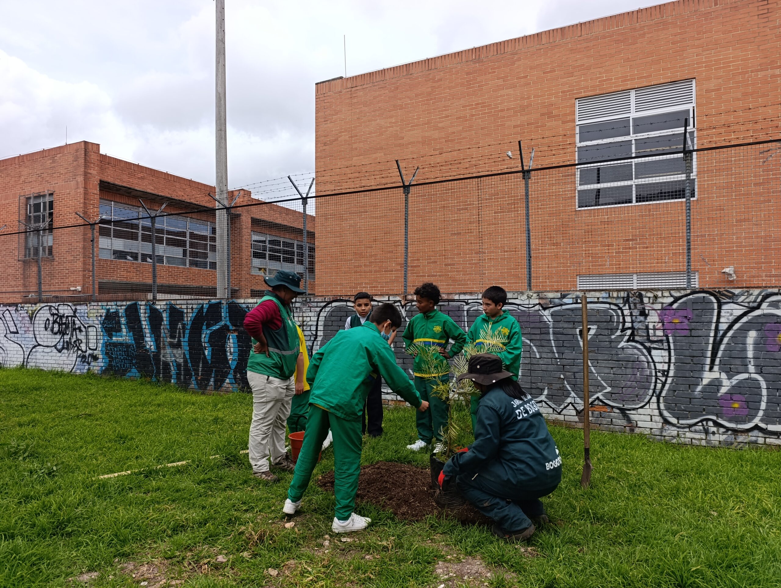 Historias del verde urbano: Los Mandarinos: dos parques de Engativá que diversificaron su arbolado