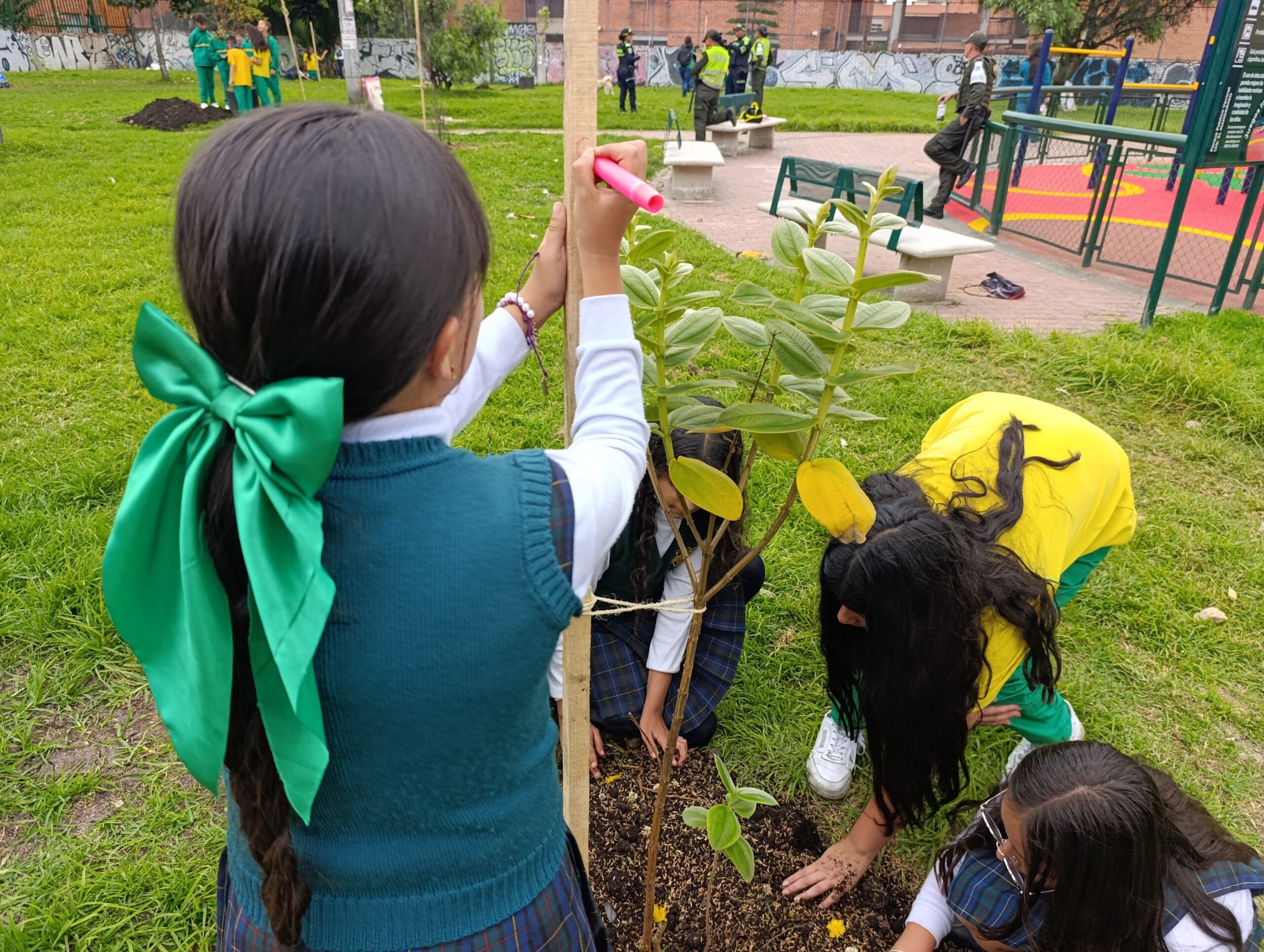 Historias del verde urbano: Los Mandarinos: dos parques de Engativá que diversificaron su arbolado