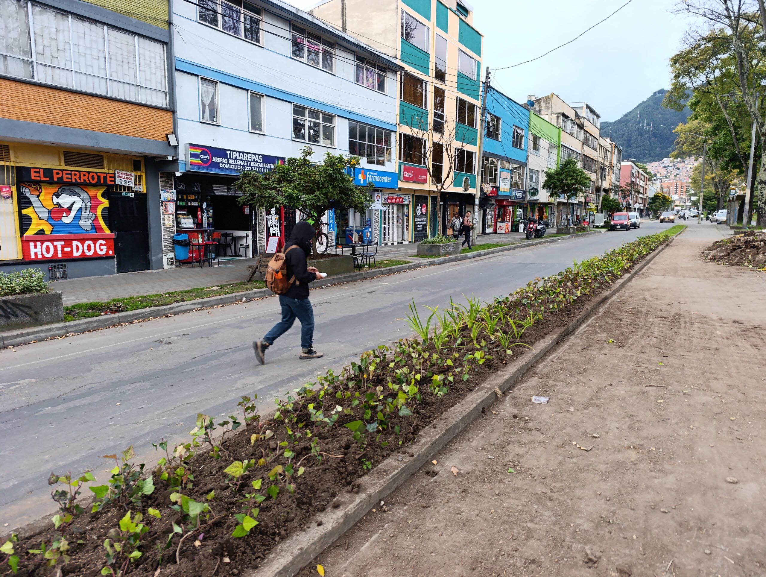 Historias del verde urbano: ¡Puente vehicular de la calle 45 florece con nuevas jardineras!