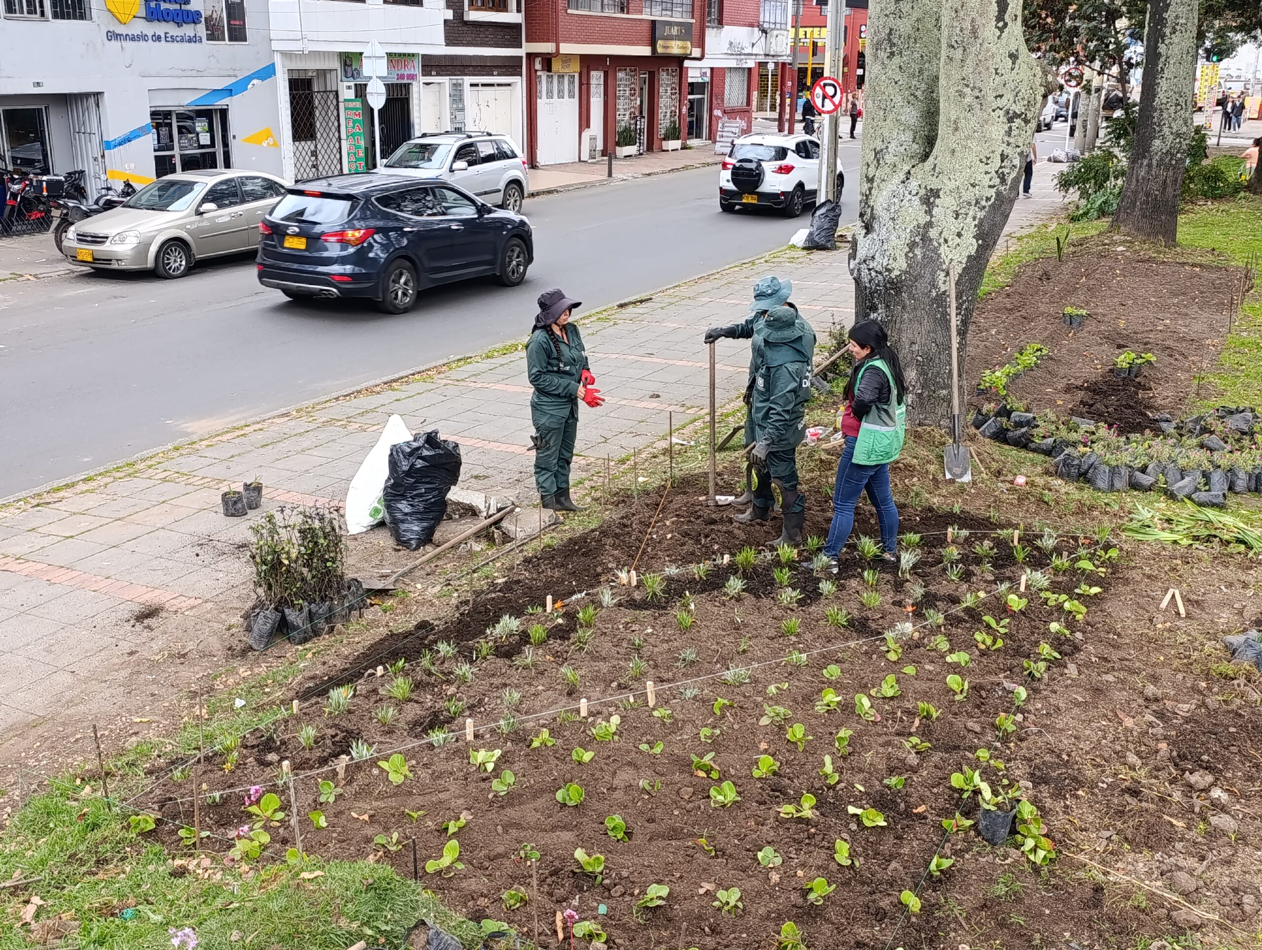 Historias del verde urbano: El parque Alfonso López renueva sus jardineras
