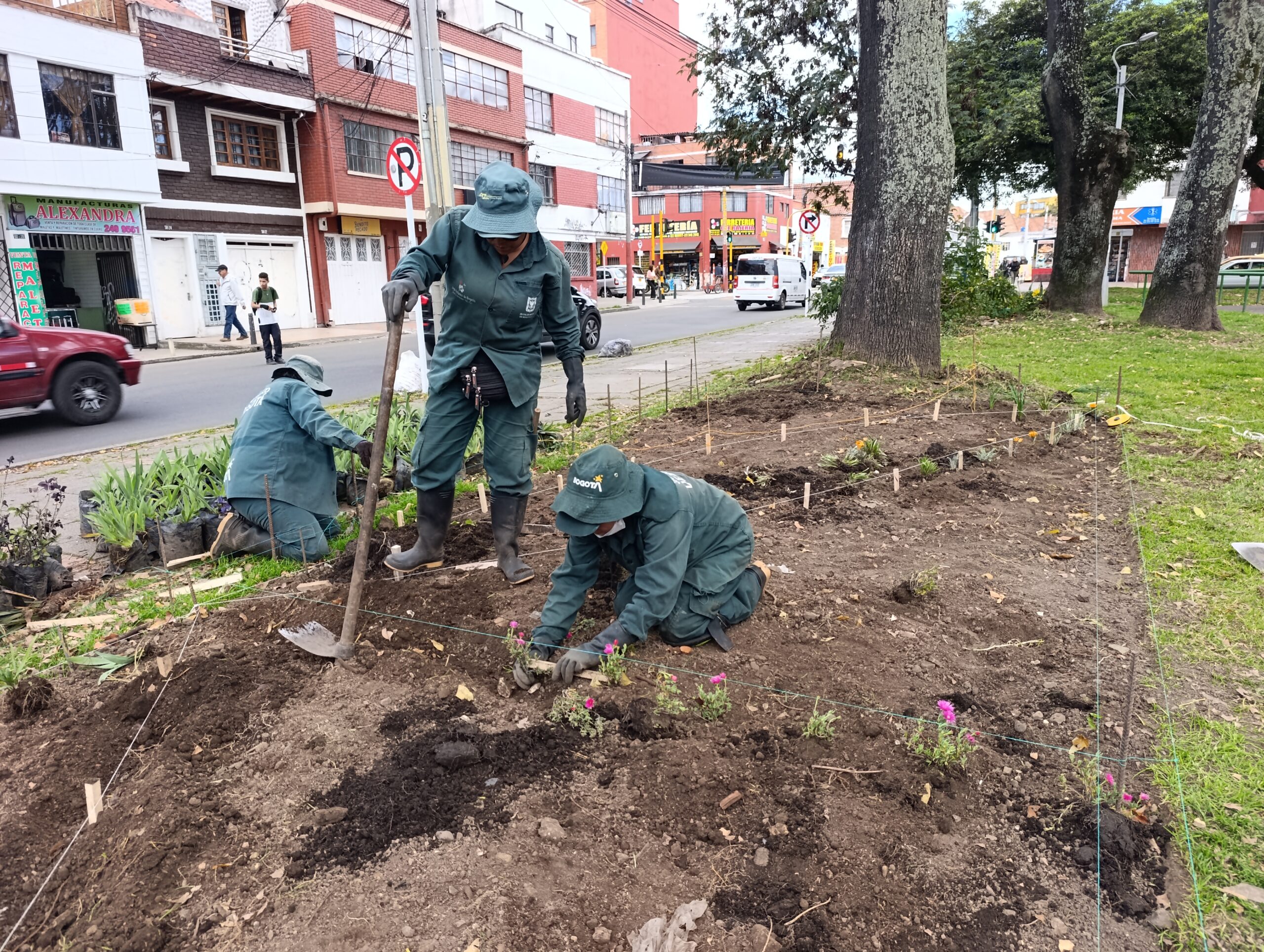 Historias del verde urbano: El parque Alfonso López renueva sus jardineras