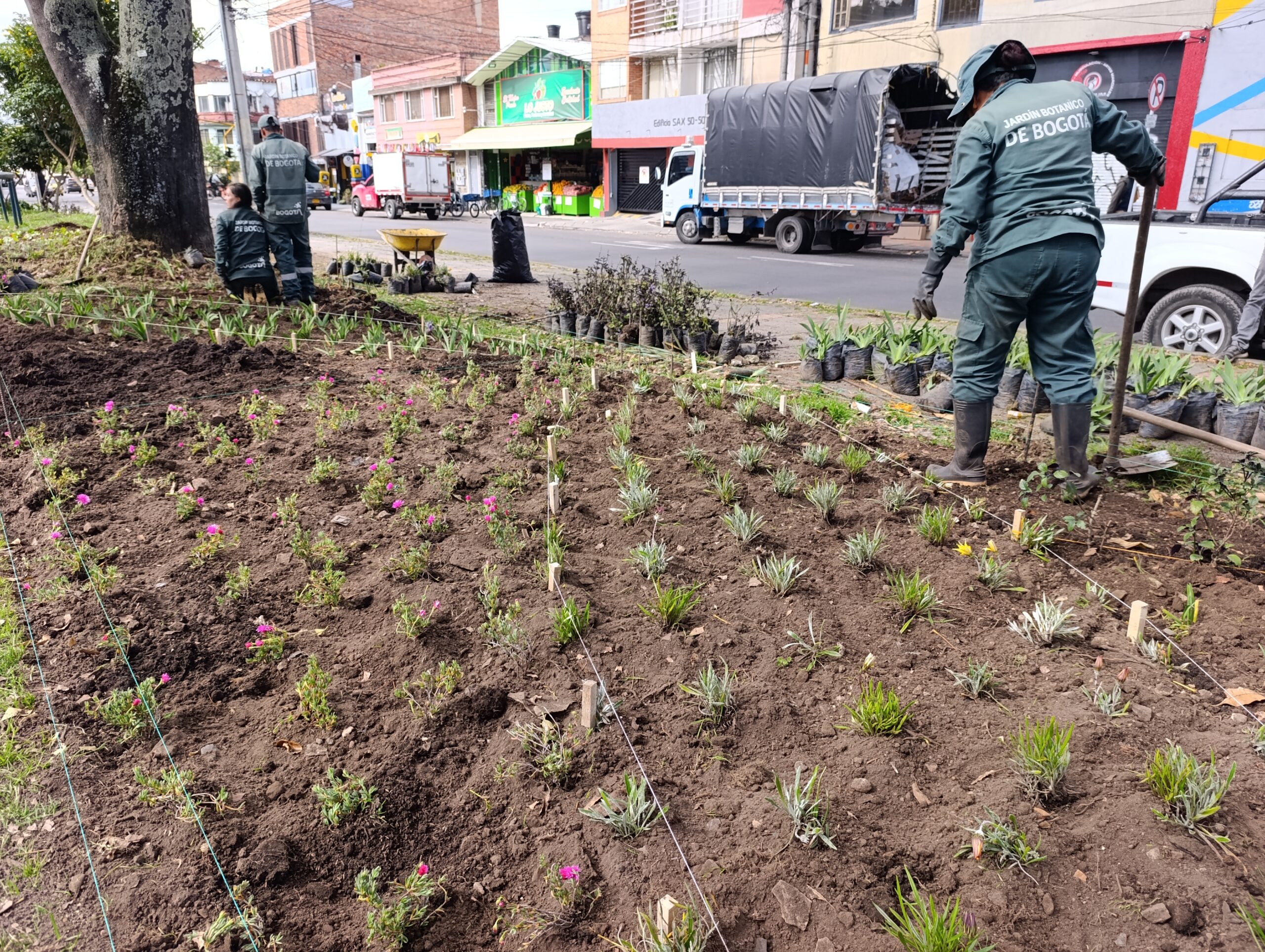Historias del verde urbano: El parque Alfonso López renueva sus jardineras