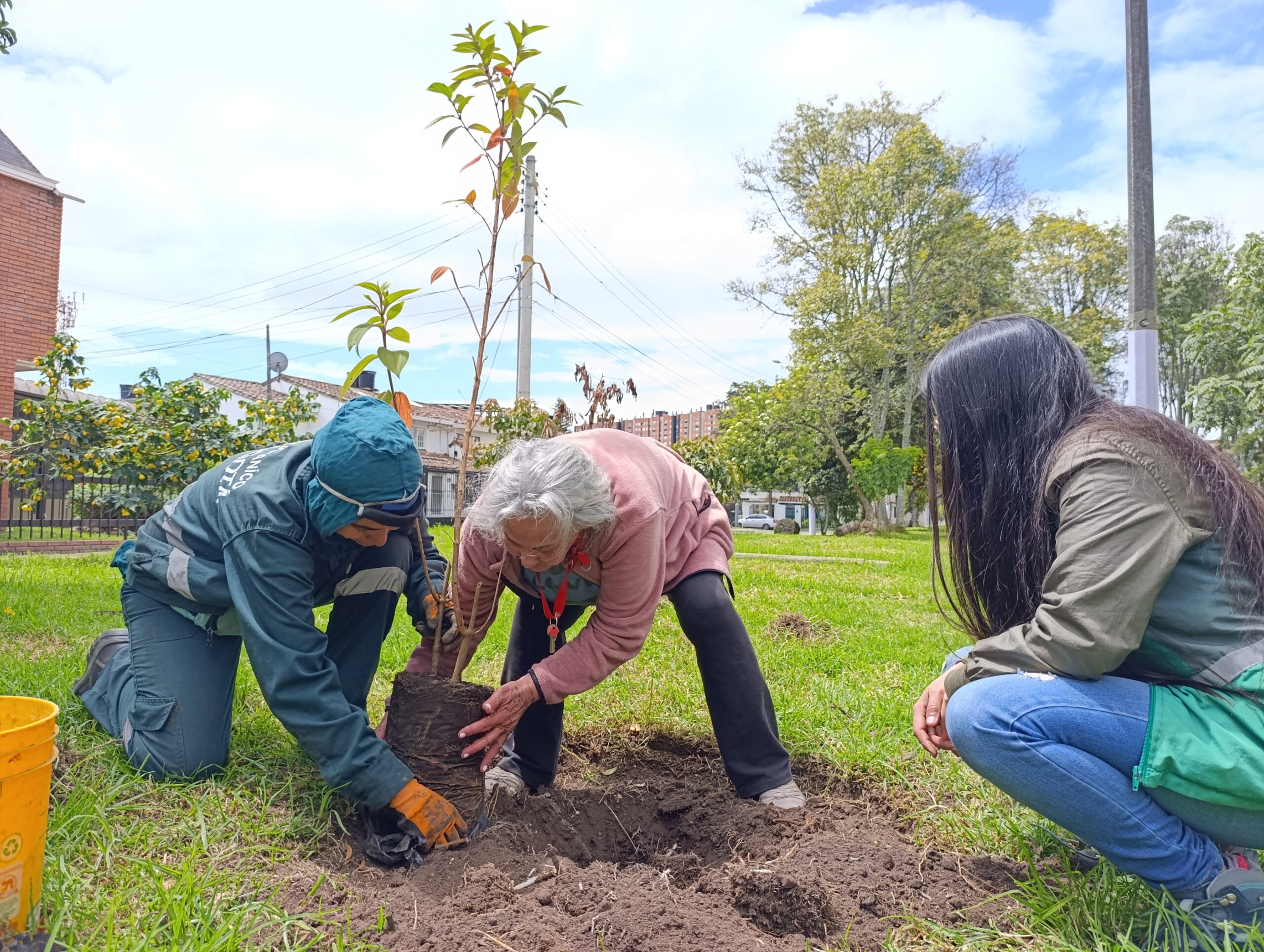 Historias del verde urbano: Los nuevos habitantes verdes y diversos de El Golfito