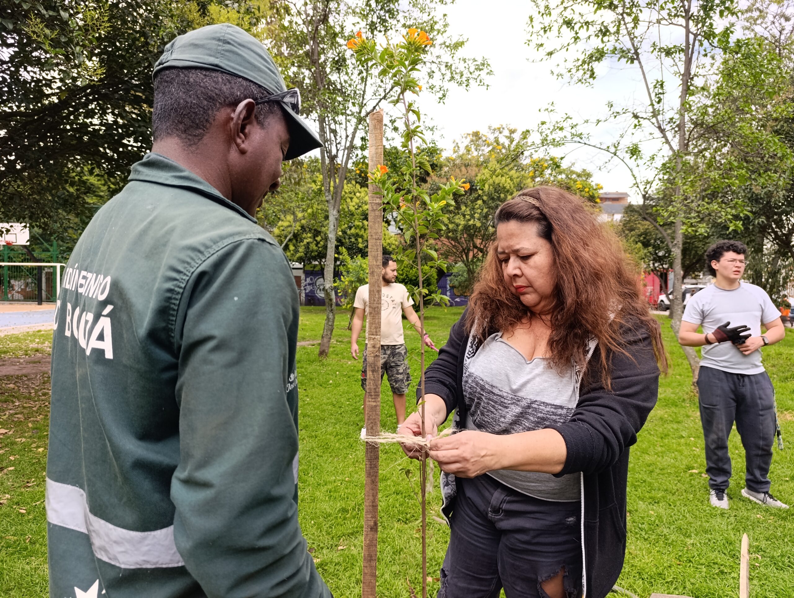 Historias del verde urbano: Los nuevos habitantes verdes y diversos de El Golfito