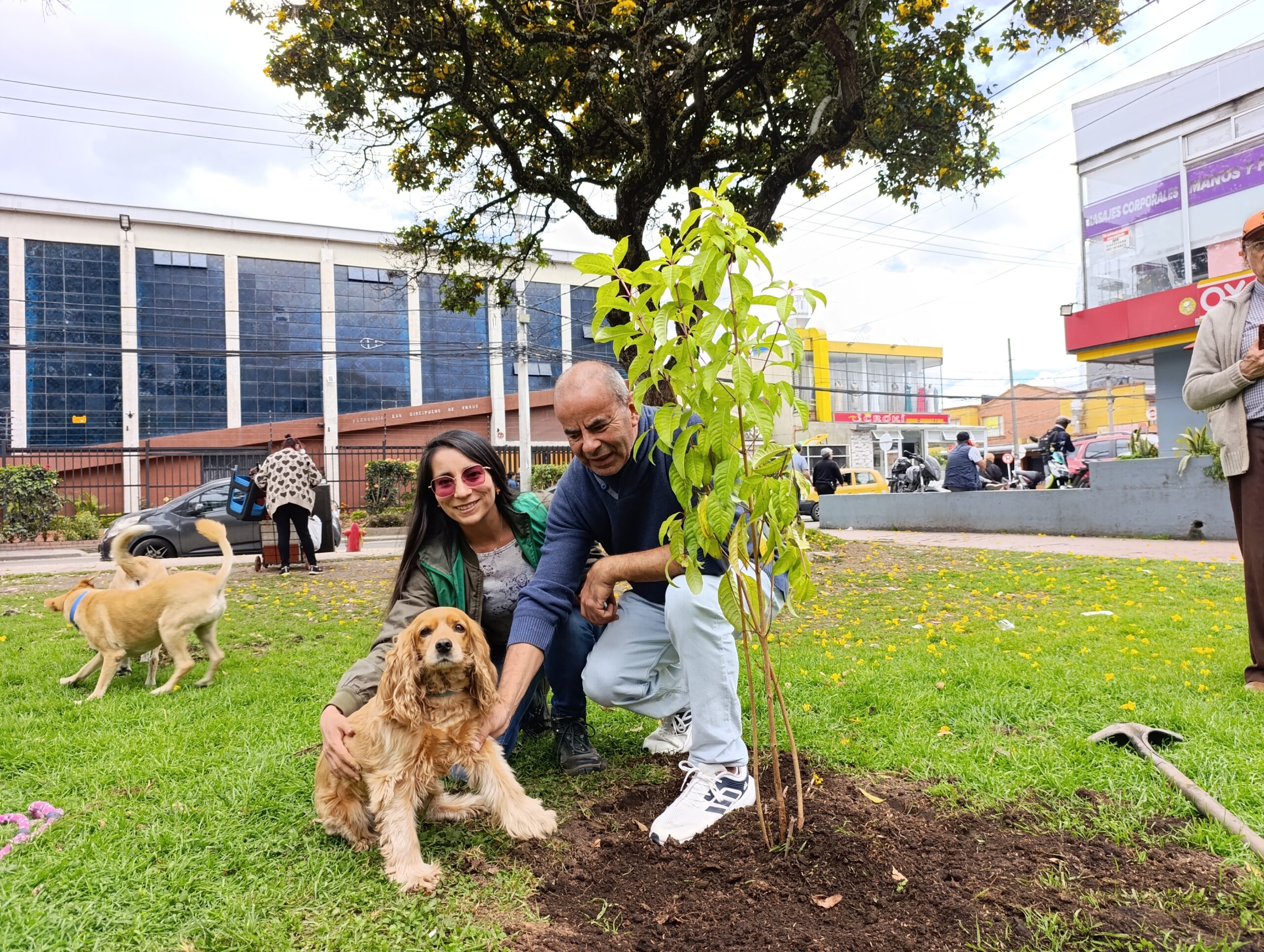 Historias del verde urbano: Los nuevos habitantes verdes y diversos de El Golfito