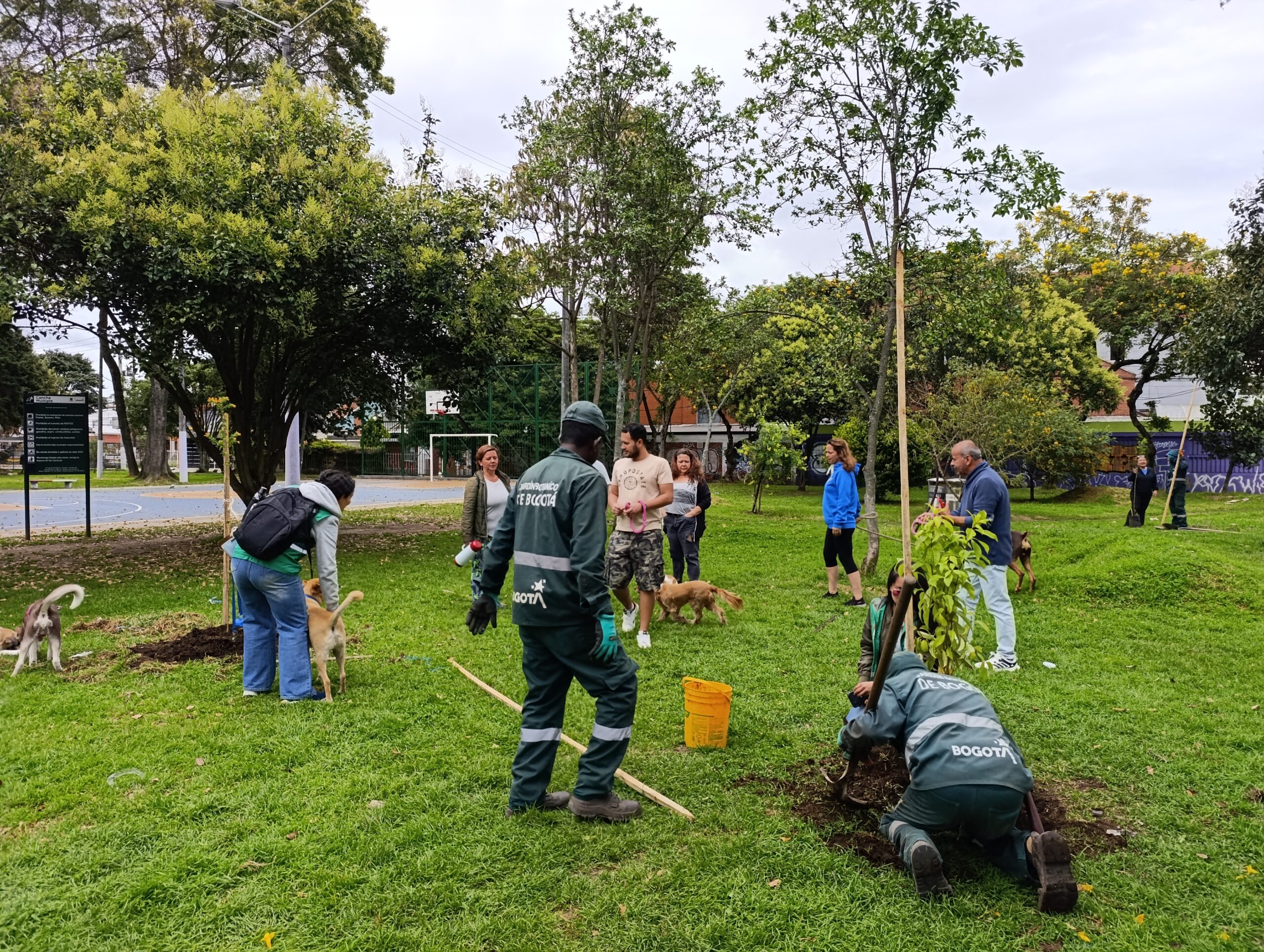 Historias del verde urbano: Los nuevos habitantes verdes y diversos de El Golfito