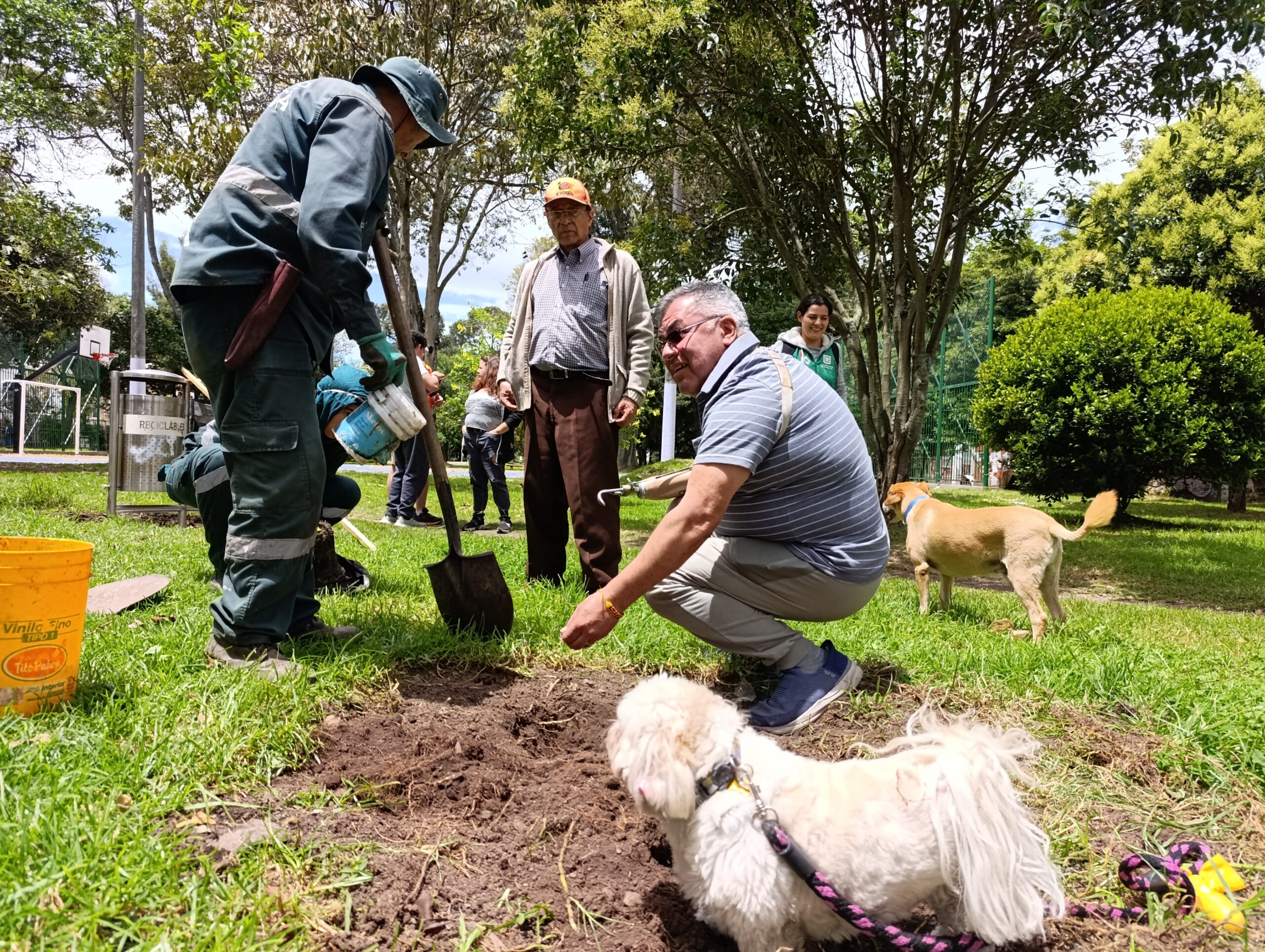 Historias del verde urbano: Los nuevos habitantes verdes y diversos de El Golfito