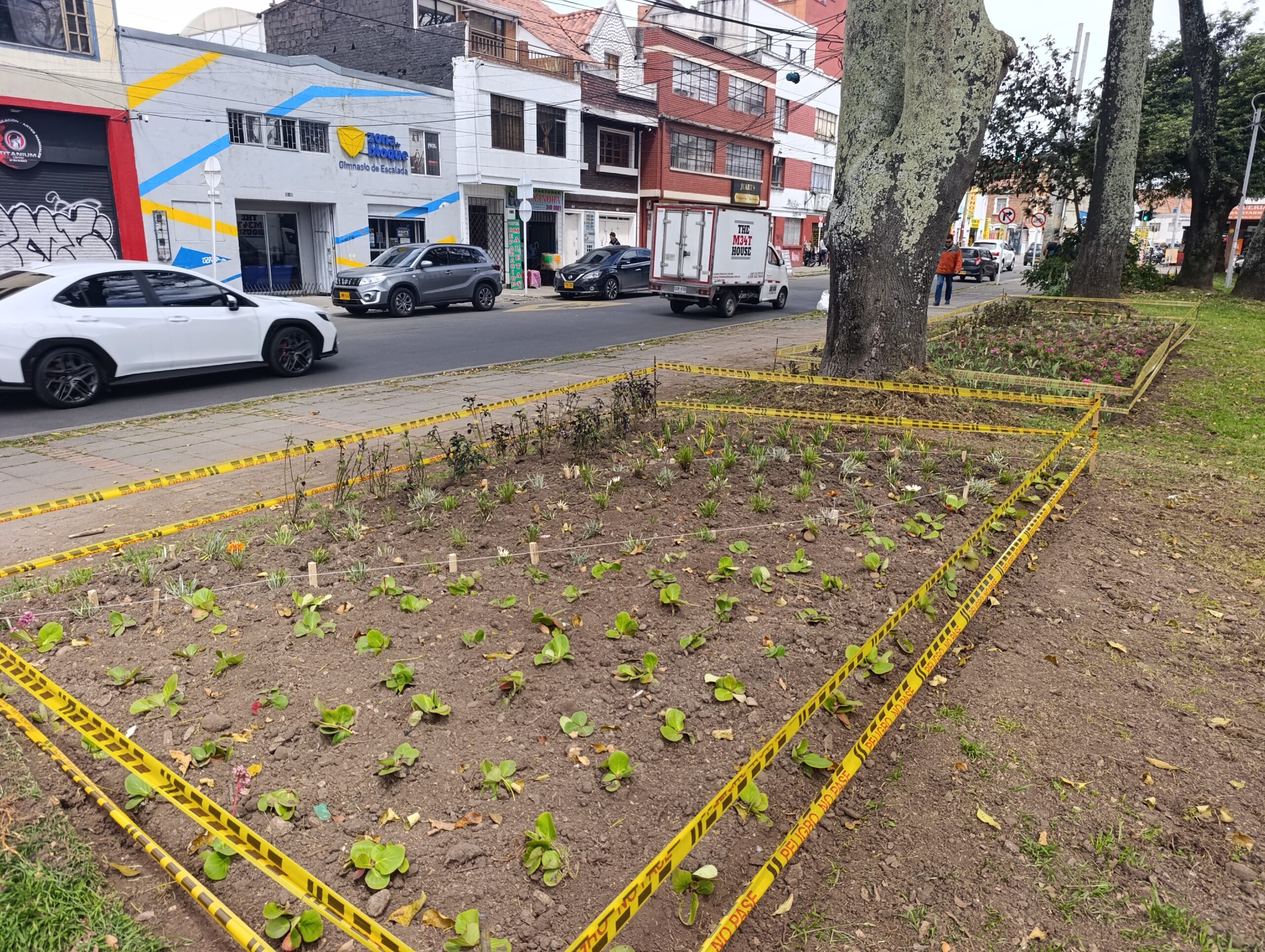 Historias del verde urbano: El parque Alfonso López renueva sus jardineras